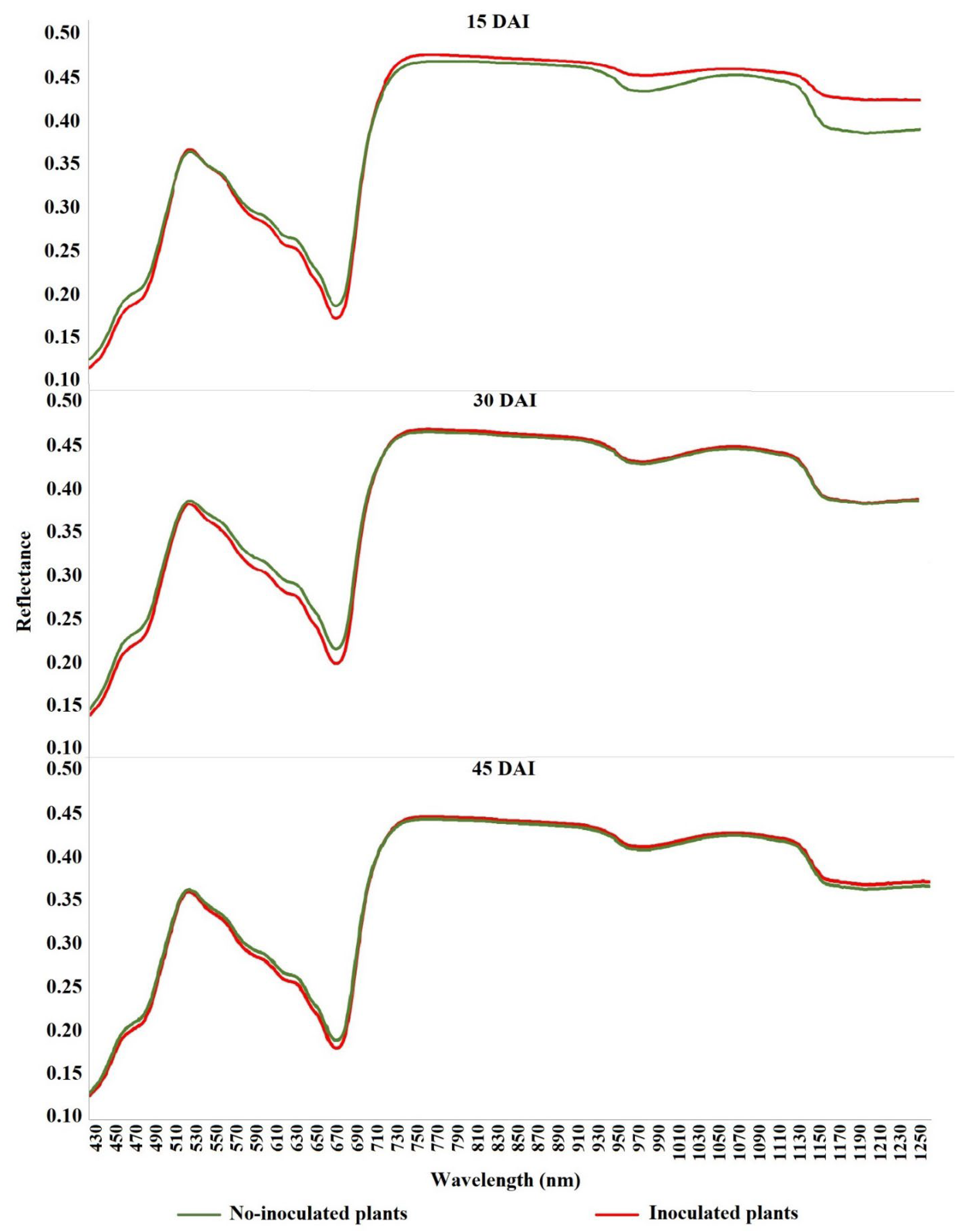 Agronomy 12 02911 g007 Agronomy 12 02911 g007