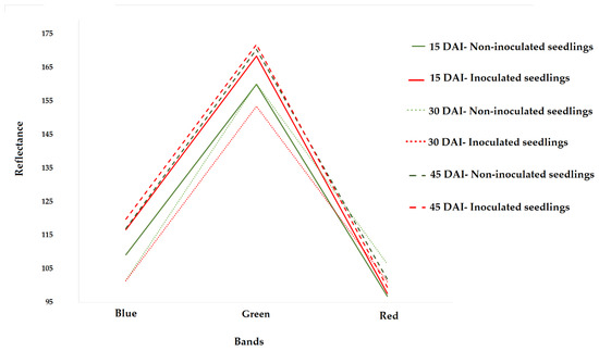 Early Detection of Coffee Leaf Rust Caused by Hemileia vastatrix Using ...