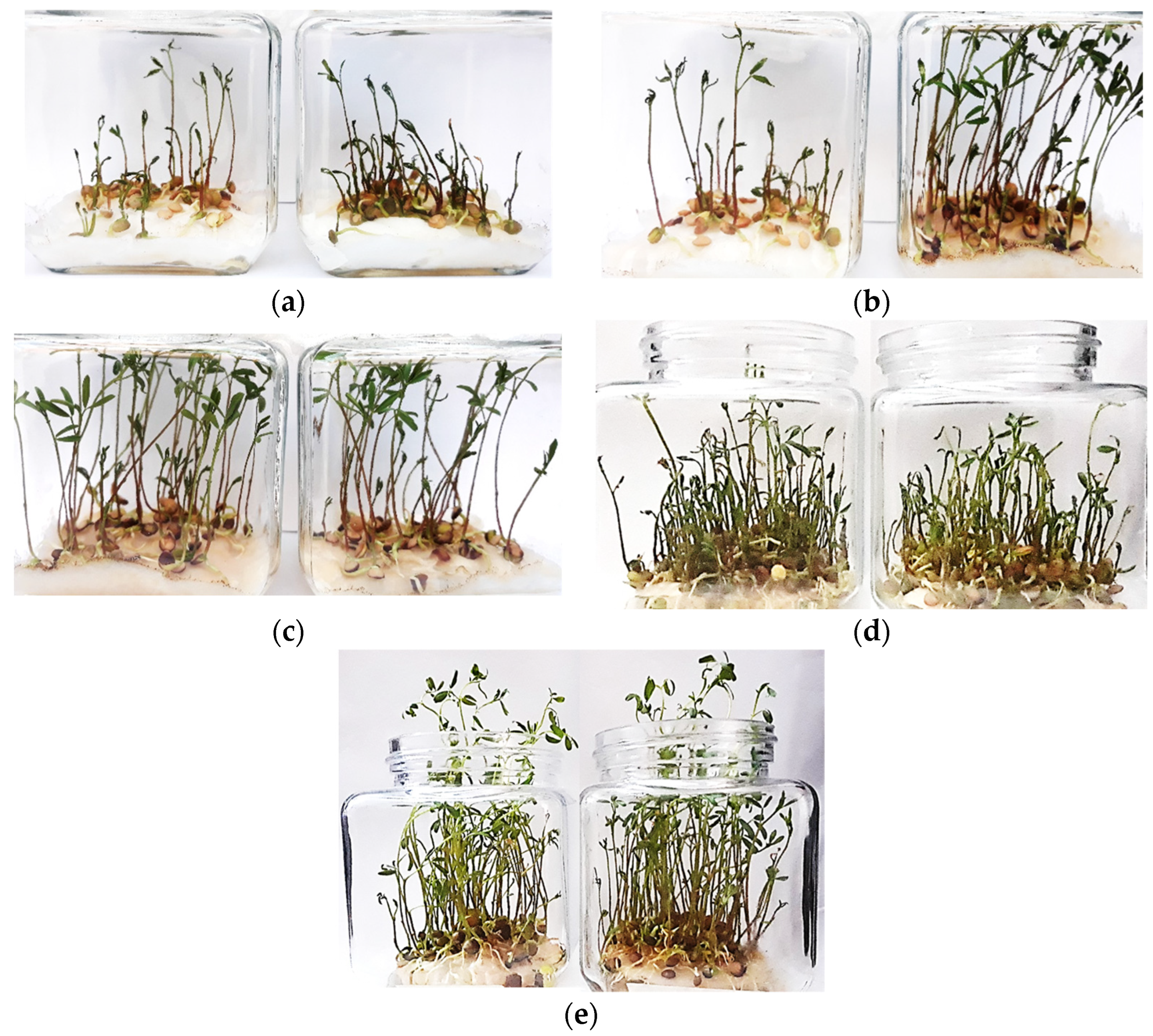 Agronomy 12 02920 g004 550