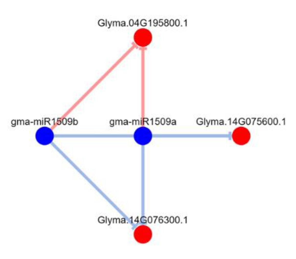 Agronomy 12 02922 g010
