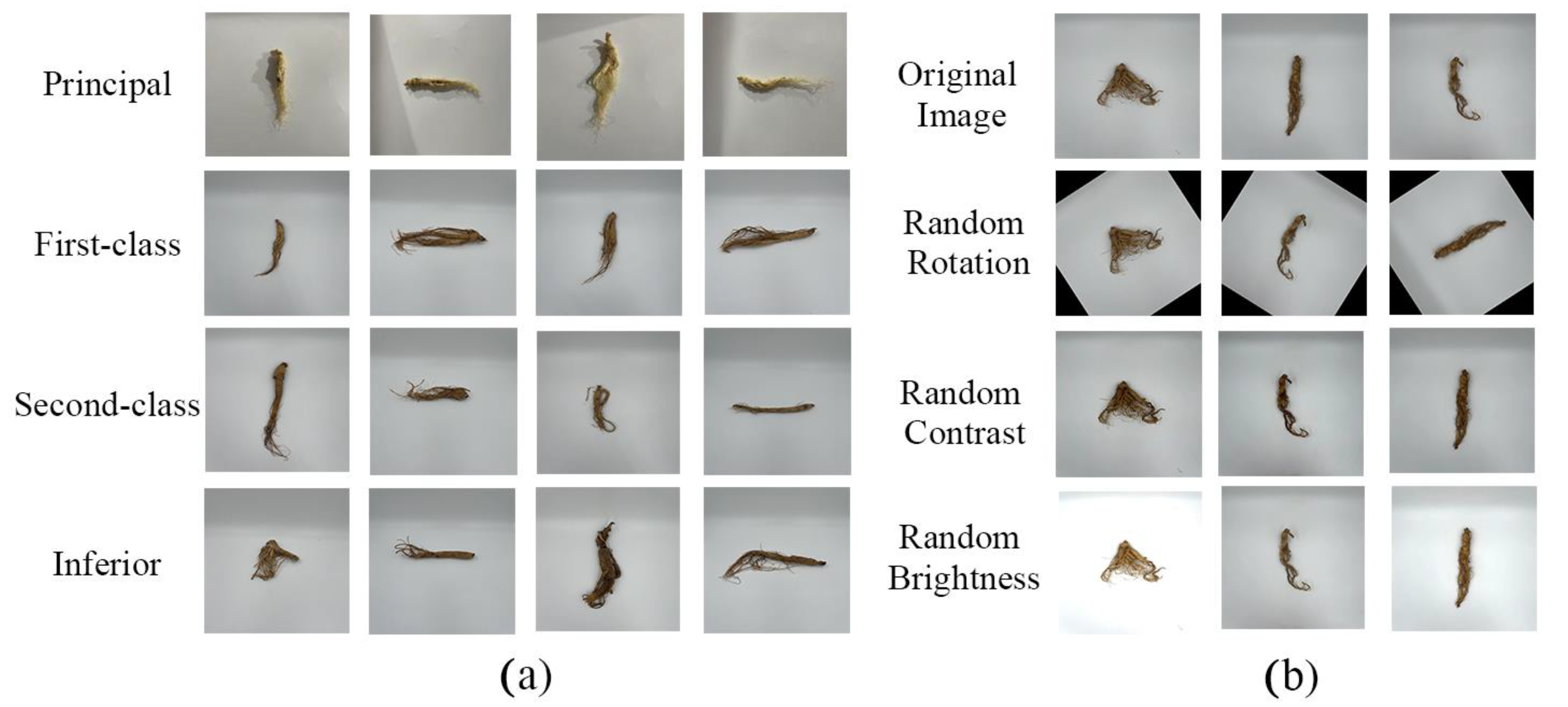 Agronomy 12 02925 g001