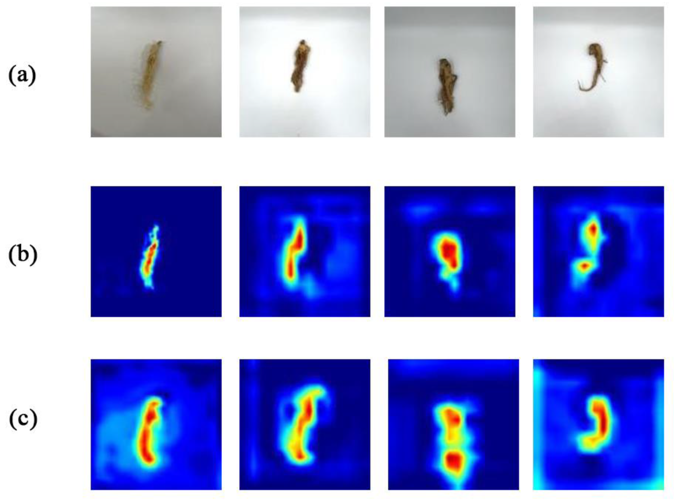 Agronomy 12 02925 g008