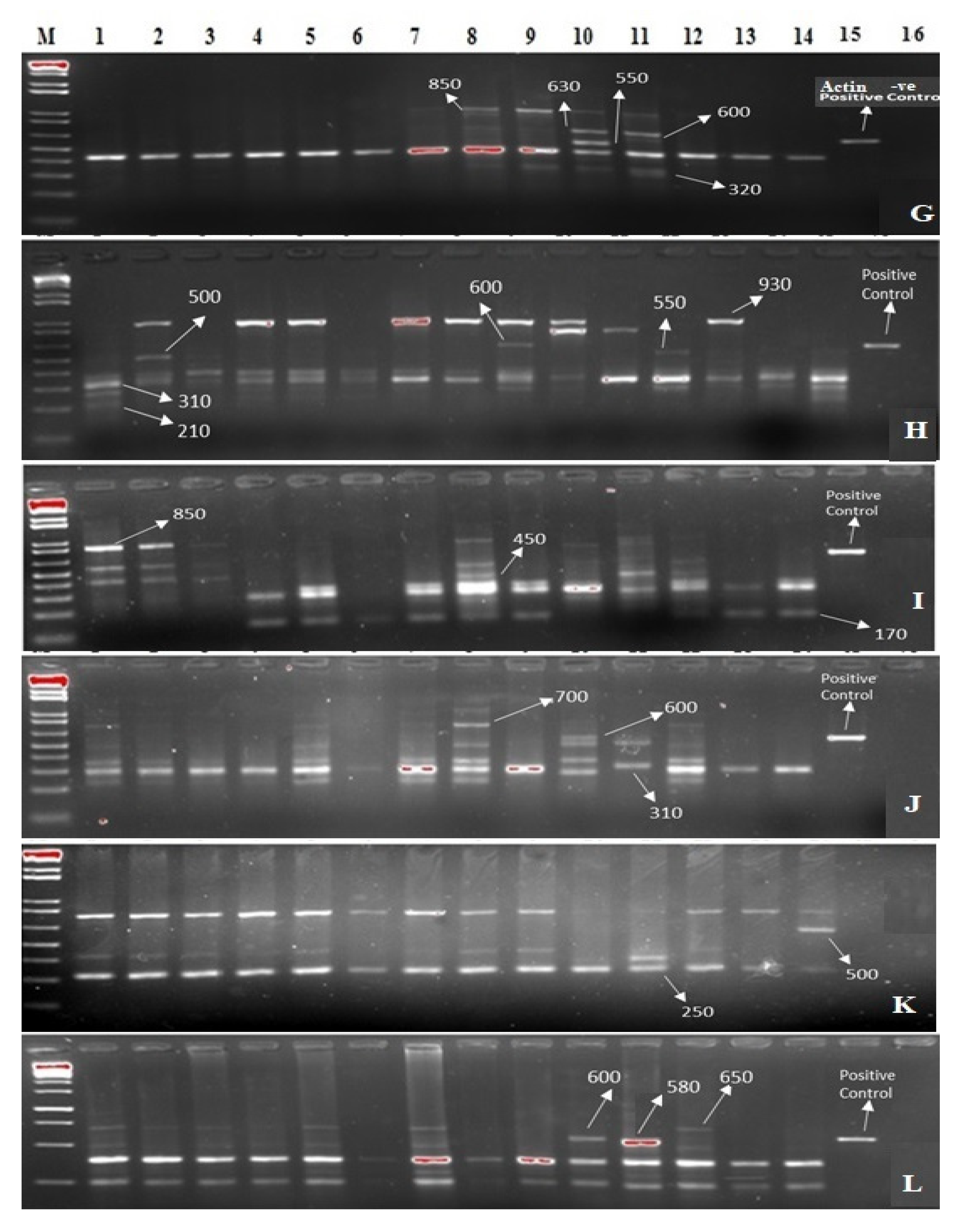 Agronomy 12 02932 g005 Agronomy 12 02932 g005