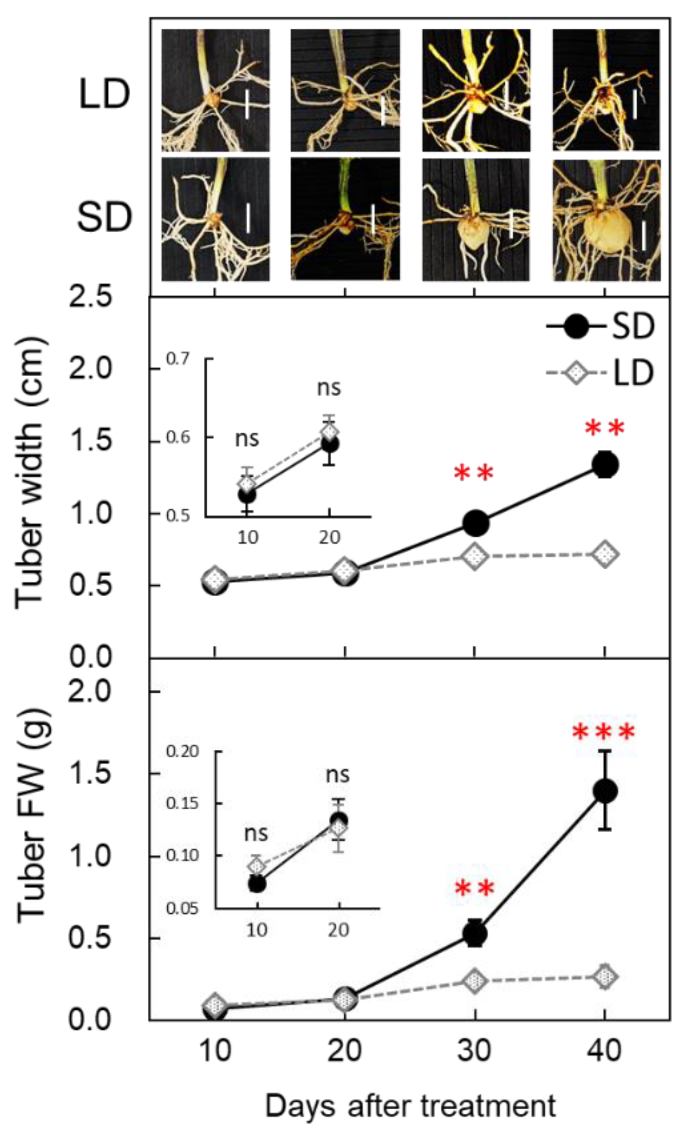 Agronomy 12 02939 g002