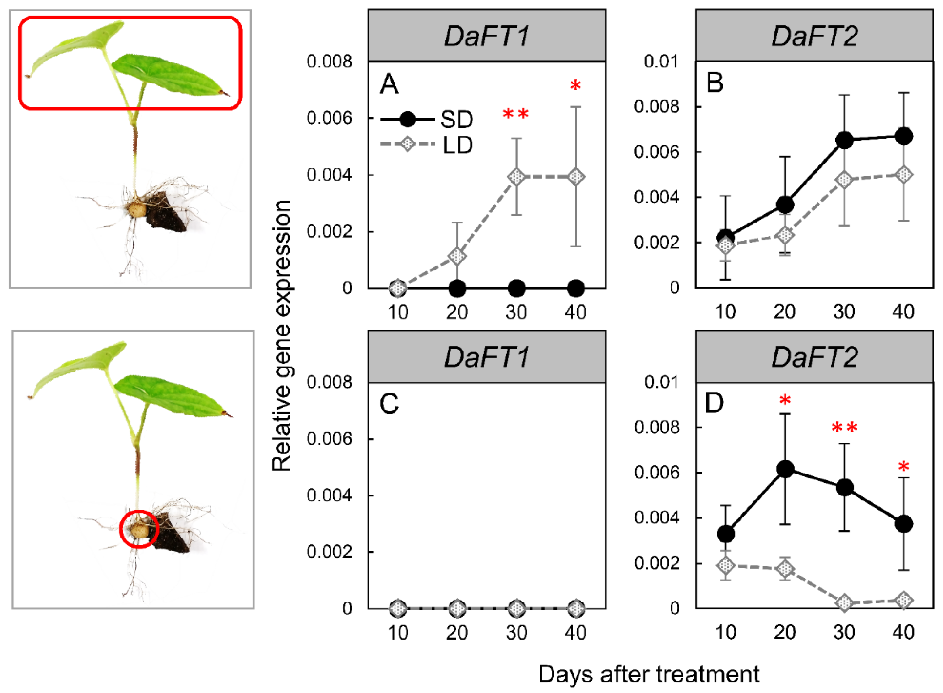 Agronomy 12 02939 g003
