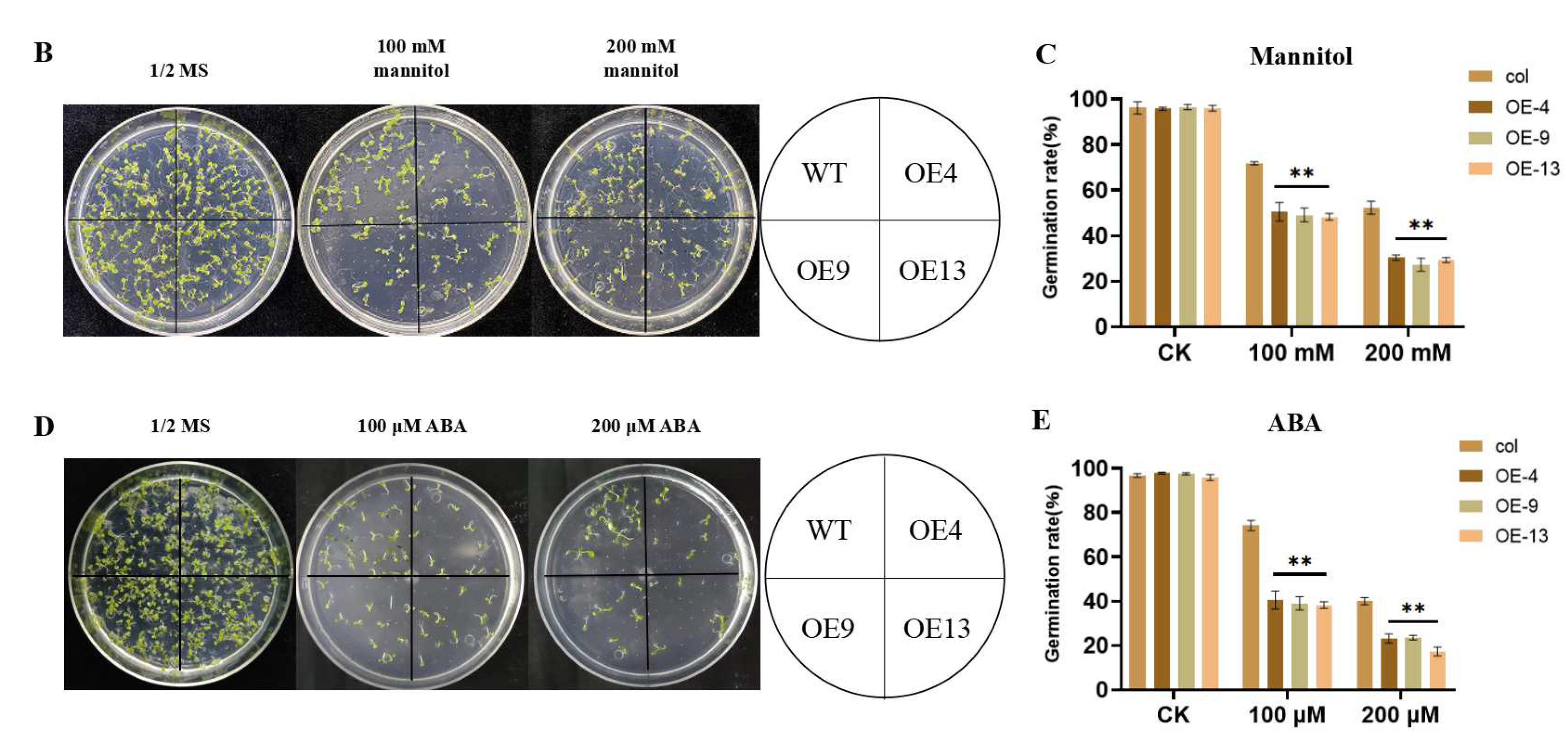 Agronomy 12 02948 g003b