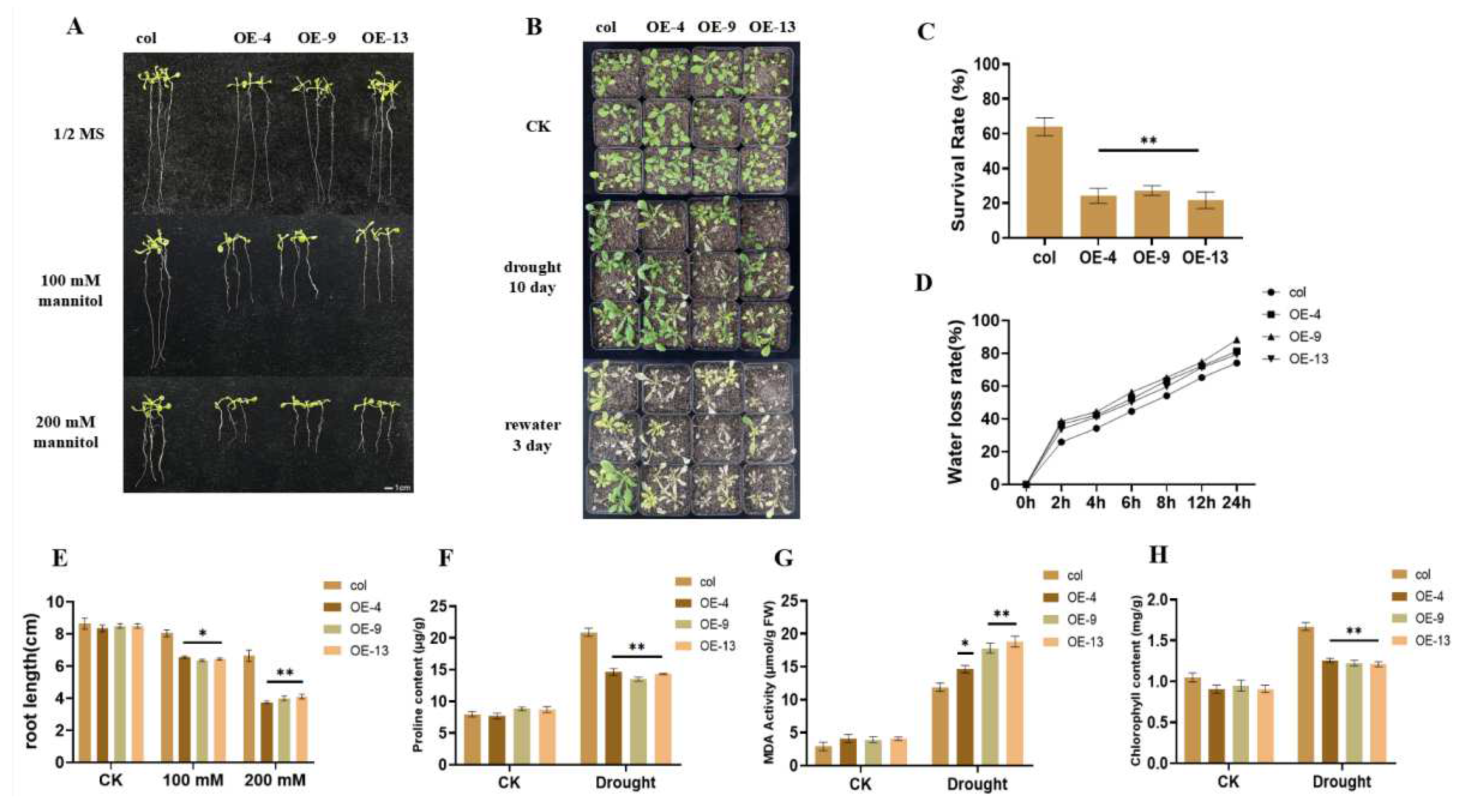 Agronomy 12 02948 g004