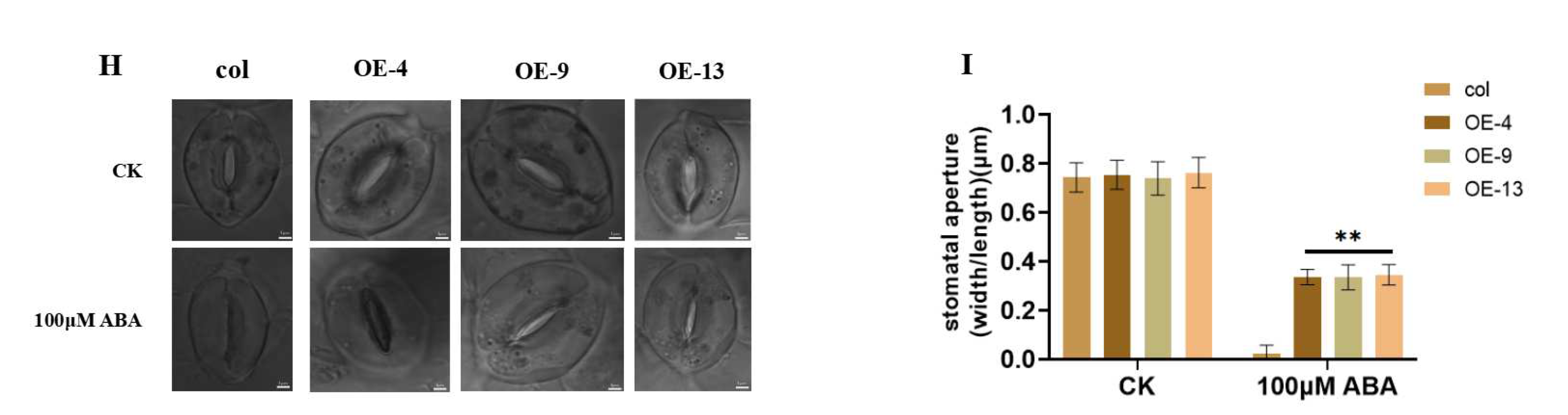 Agronomy 12 02948 g005b