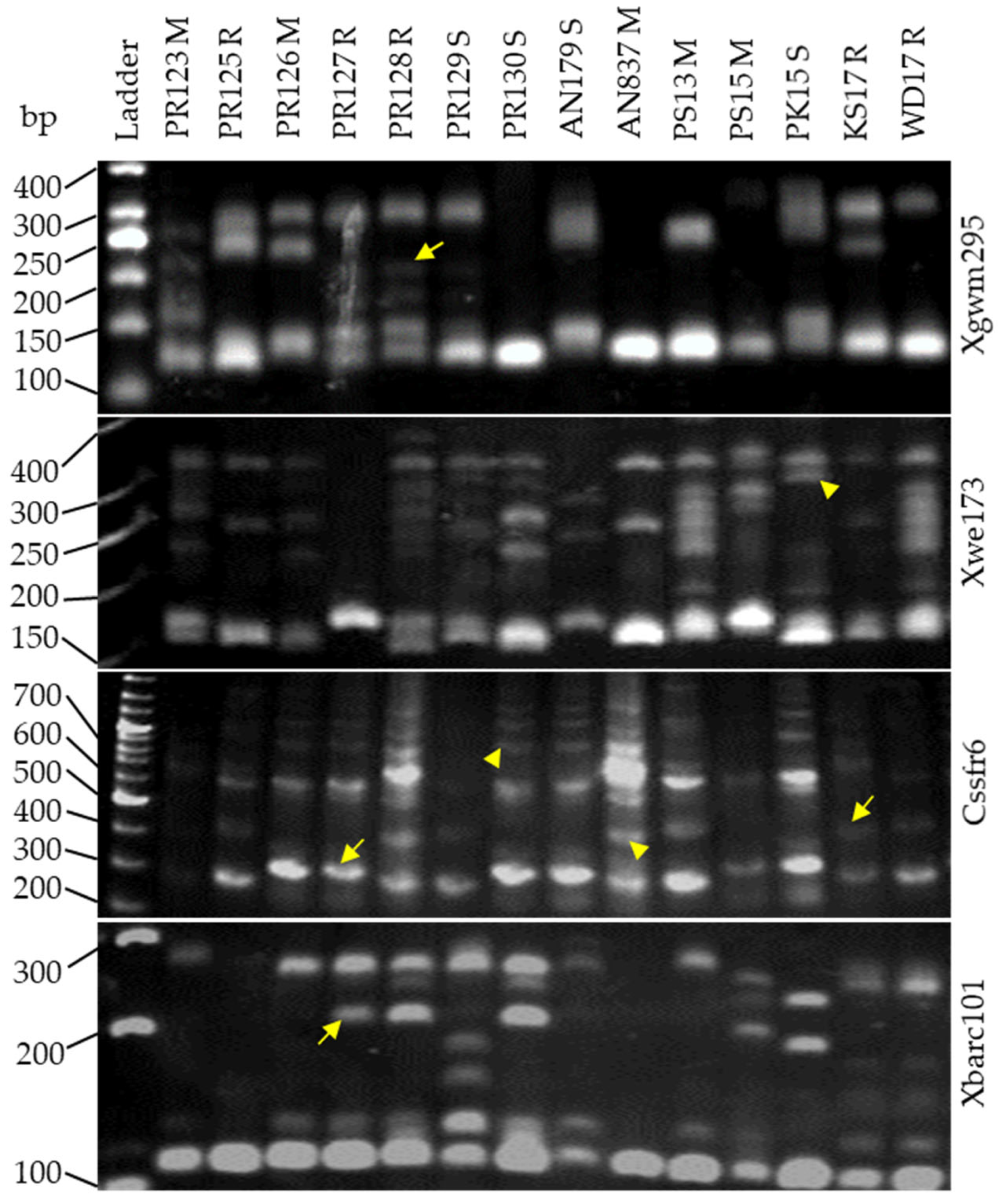 Agronomy 12 02951 g005 Agronomy 12 02951 g005