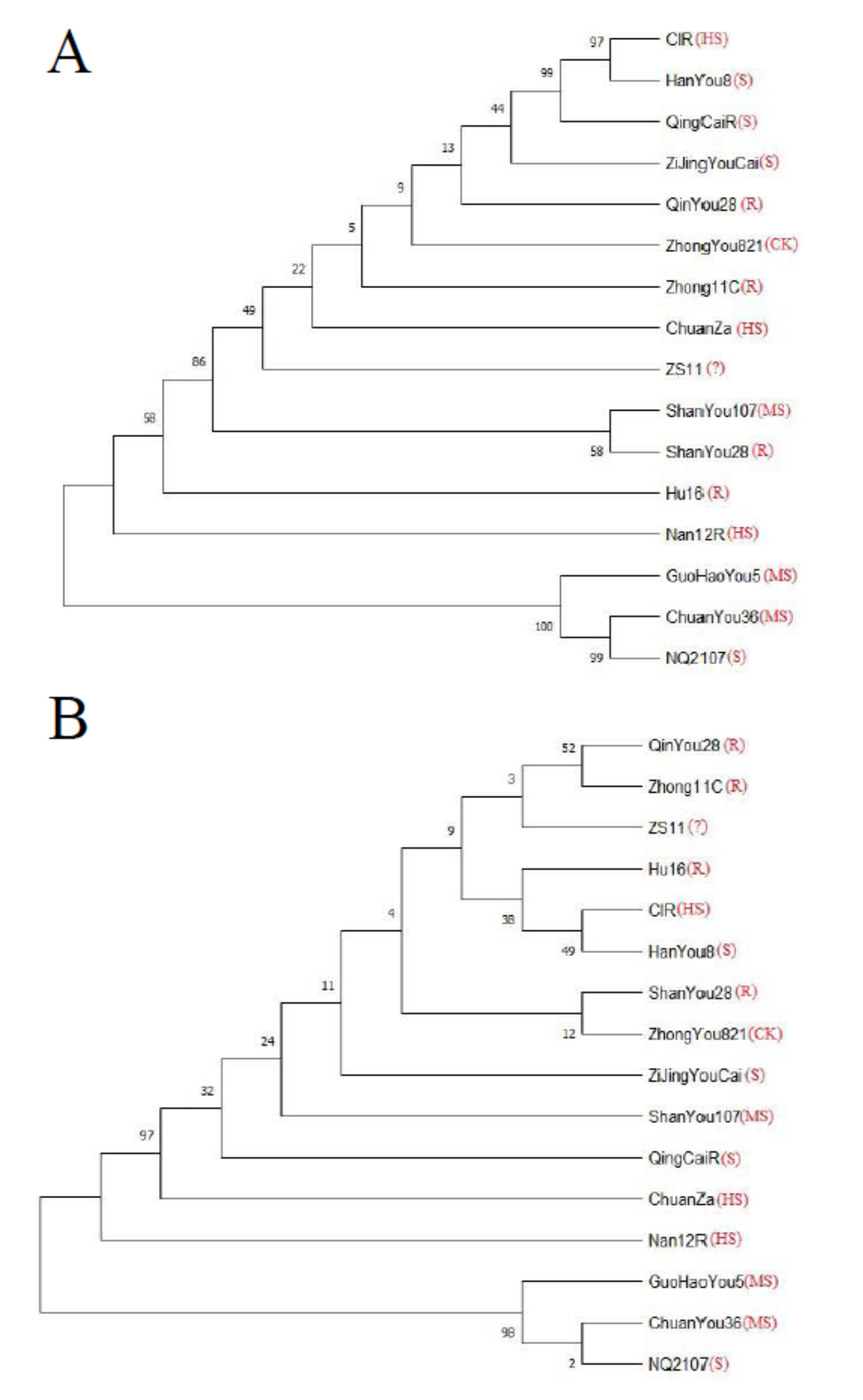 Agronomy 12 02956 g003 Agronomy 12 02956 g003