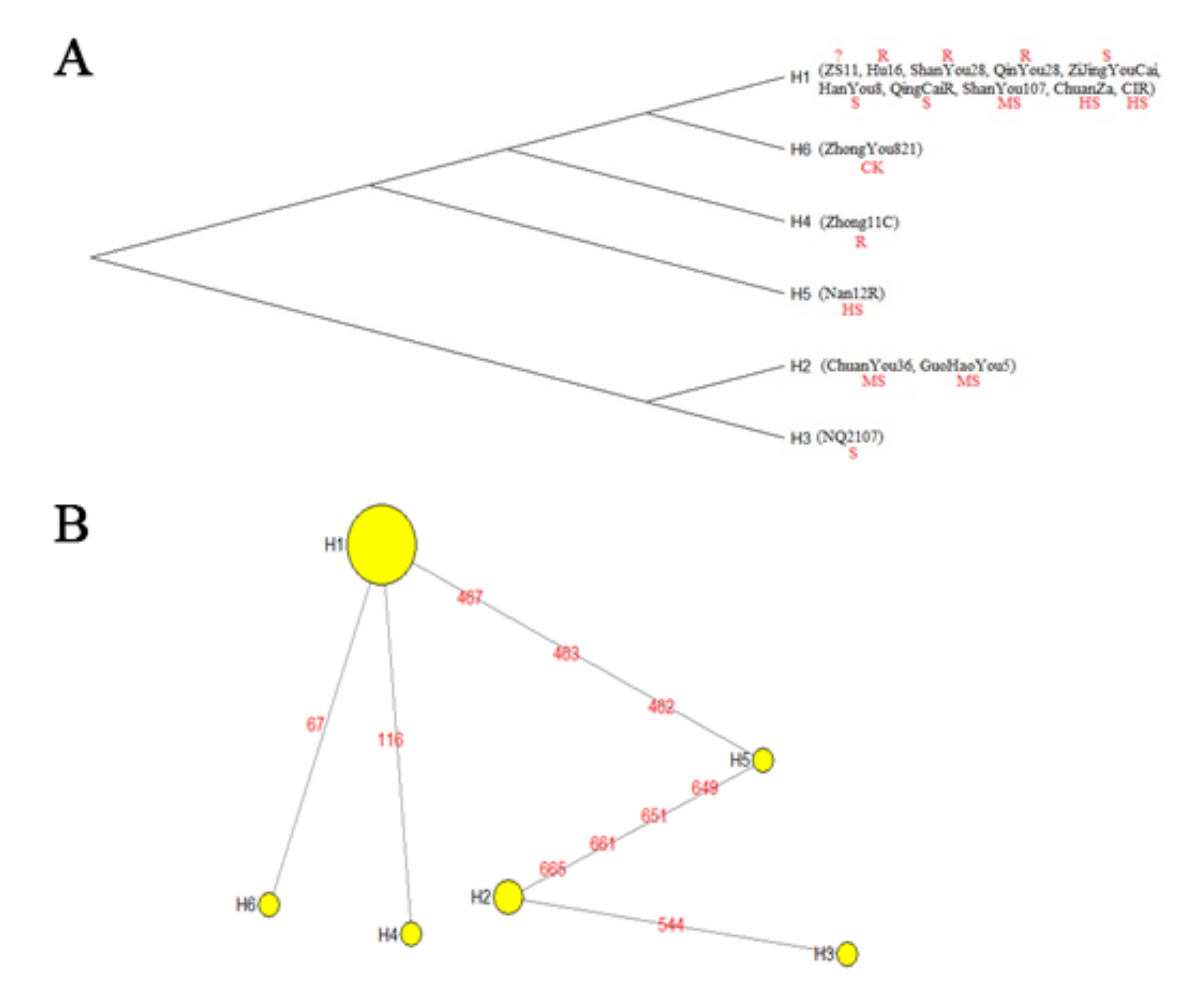 Agronomy 12 02956 g004 Agronomy 12 02956 g004