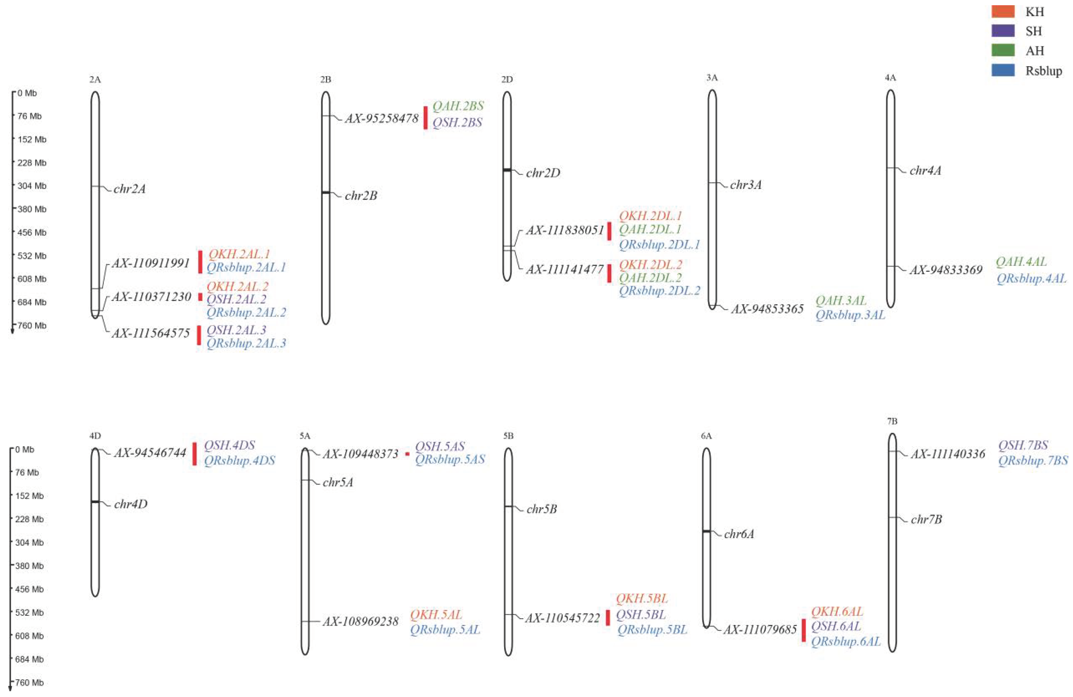 Agronomy 12 02967 g003