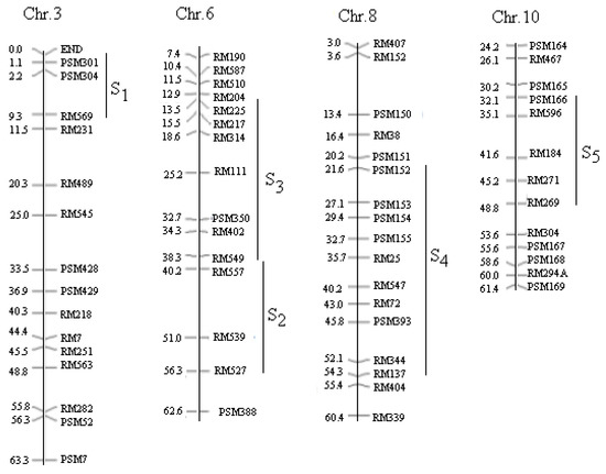 Identification, Interaction, Expression, and Function of