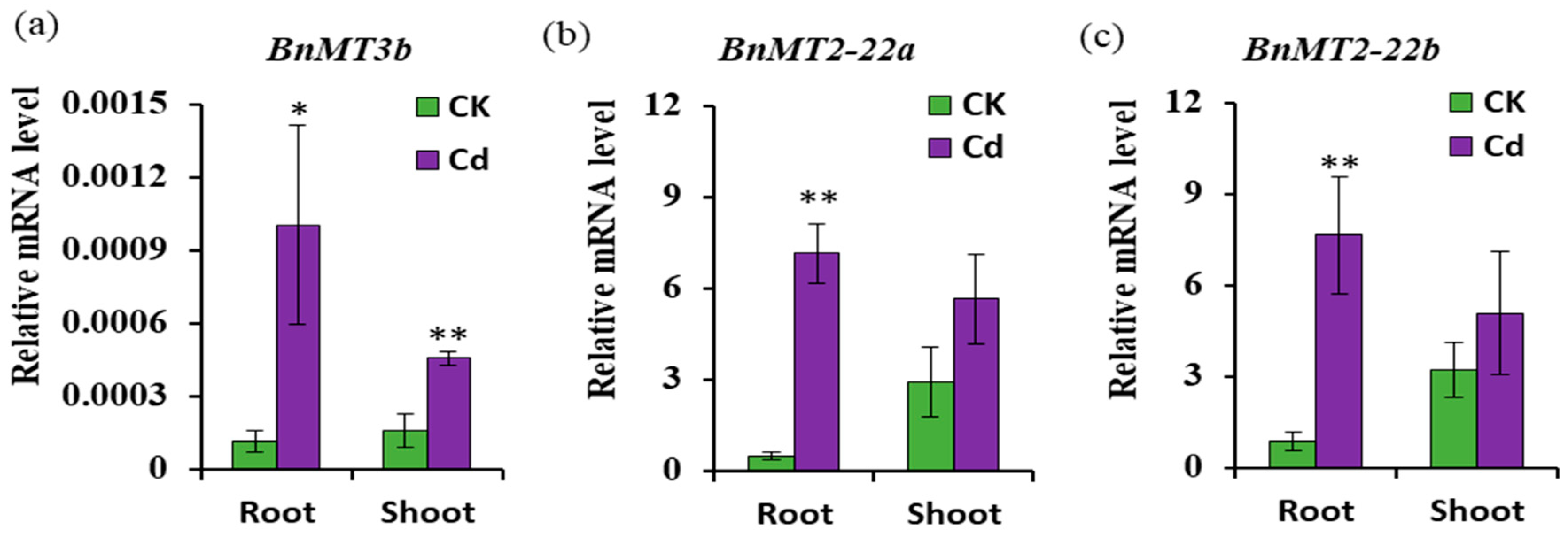 Agronomy 12 02971 g006