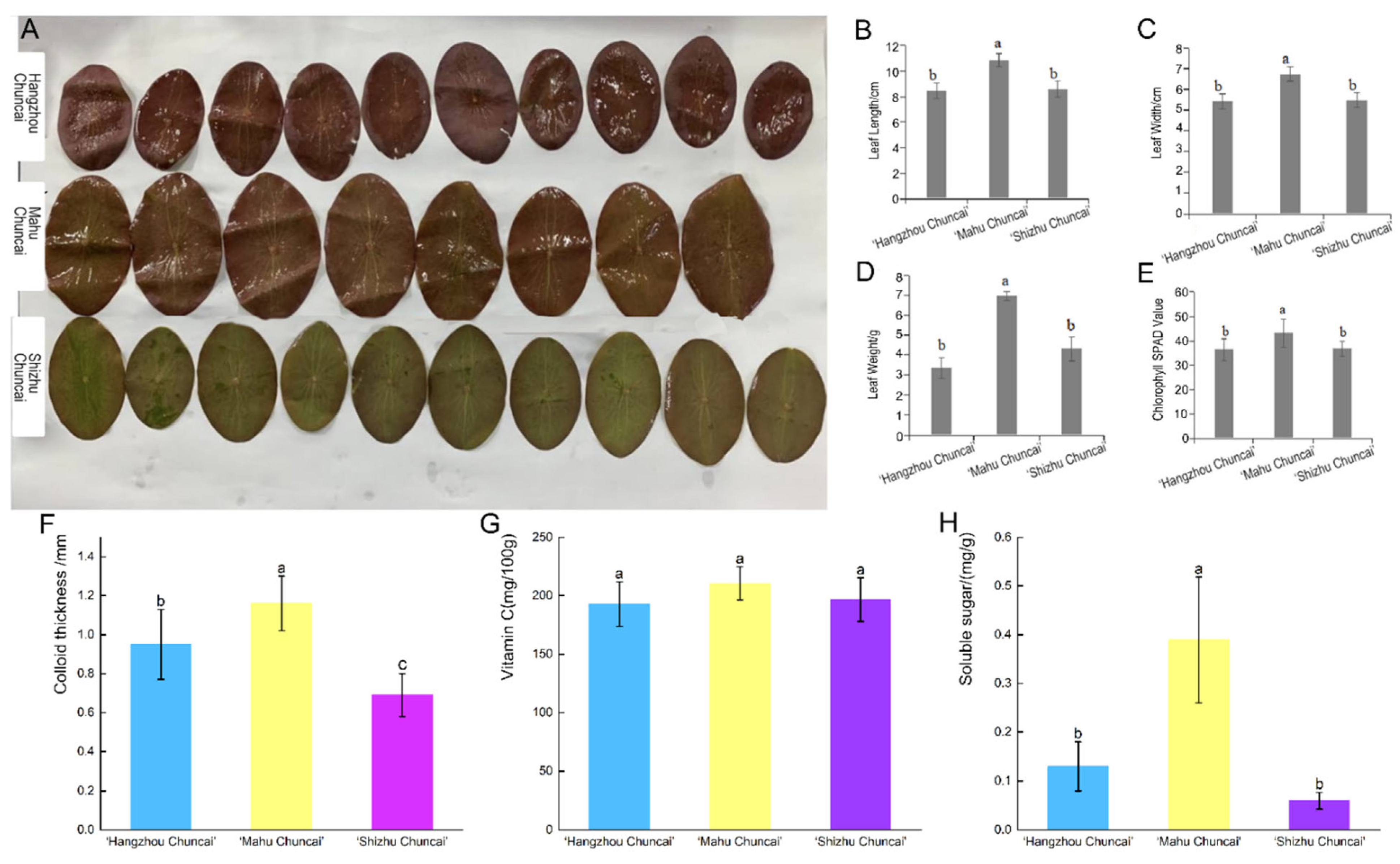 Complete Chloroplast Genome Sequence of a New Variety of