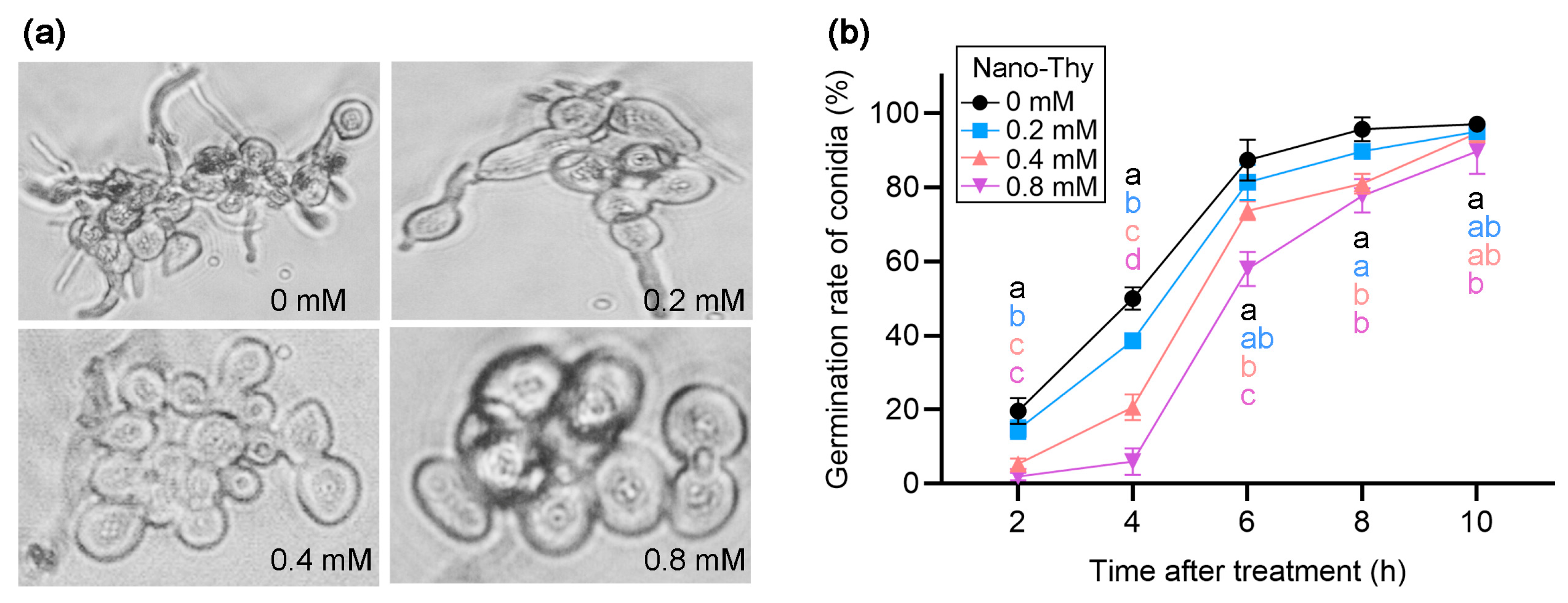 Agronomy 12 02973 g005