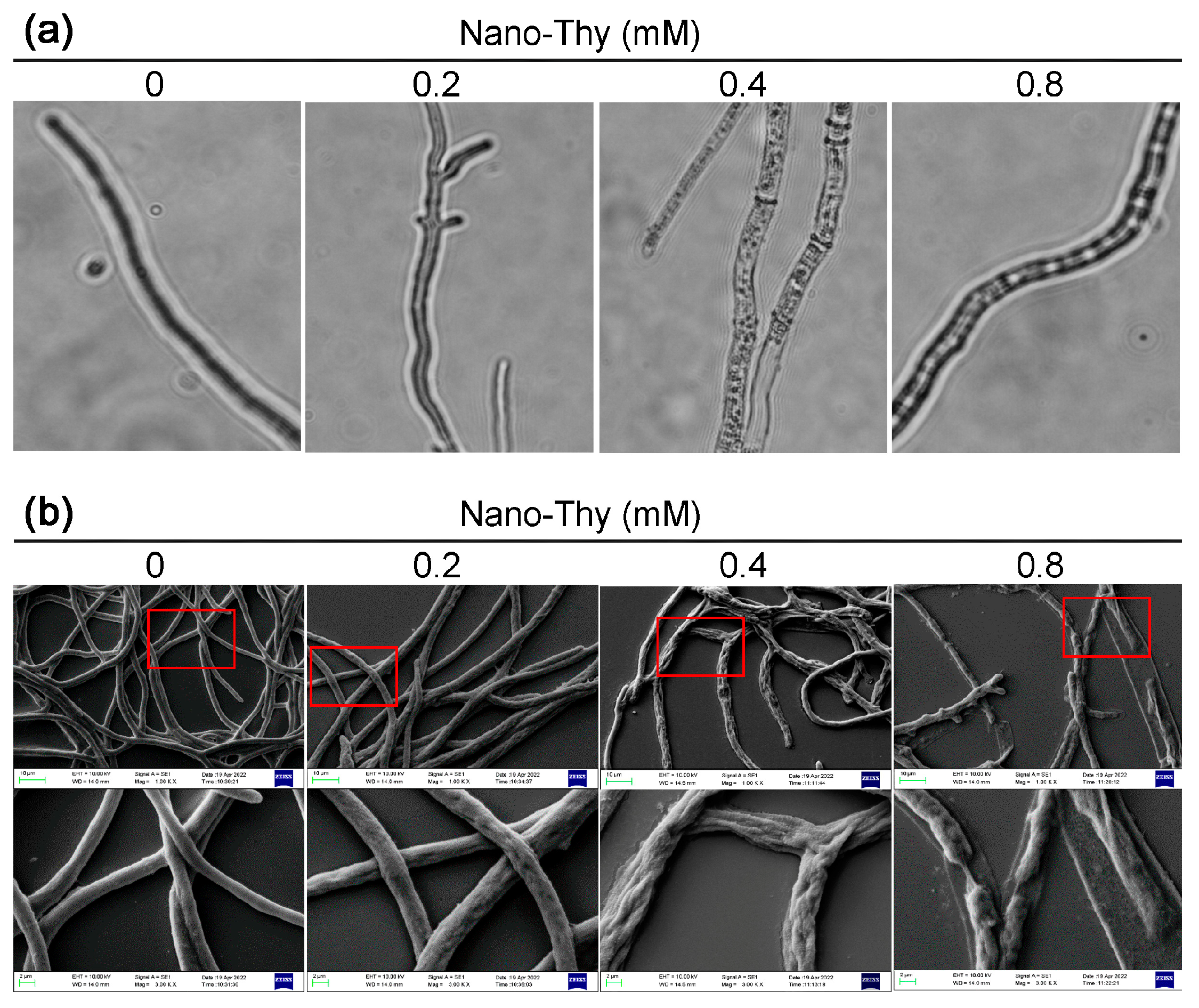 Agronomy 12 02973 g006