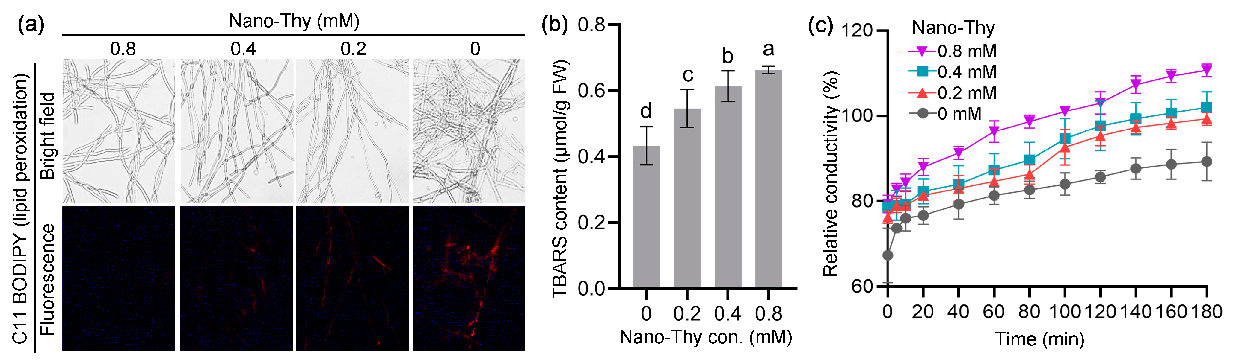Agronomy 12 02973 g008
