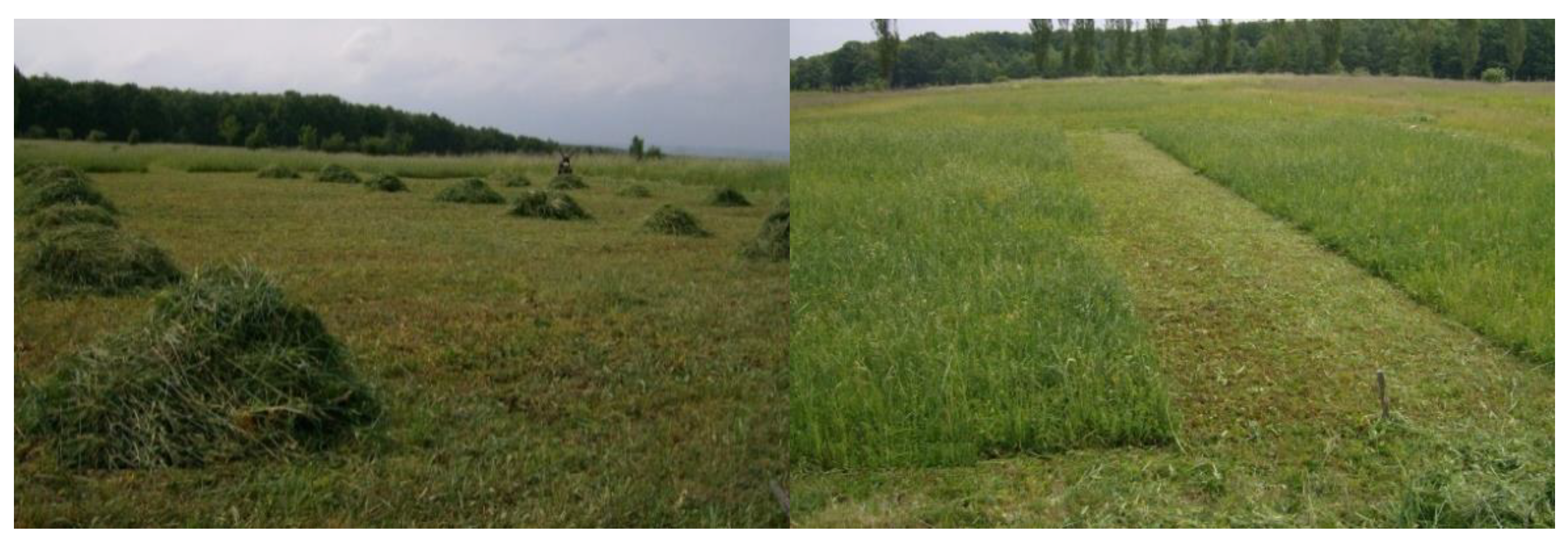 Agronomy 12 02979 g001