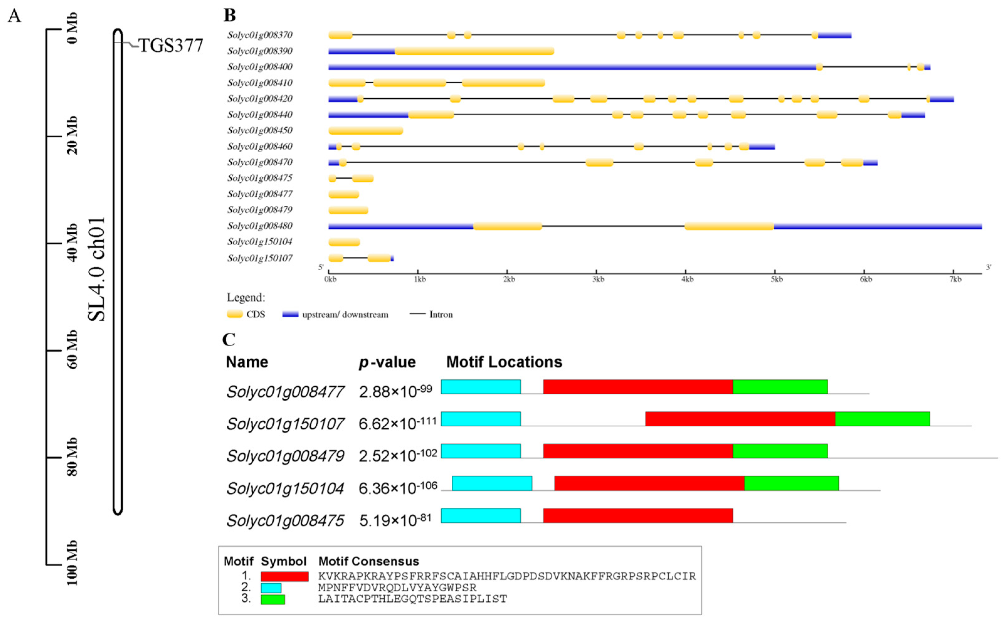 Agronomy 12 02985 g002 550