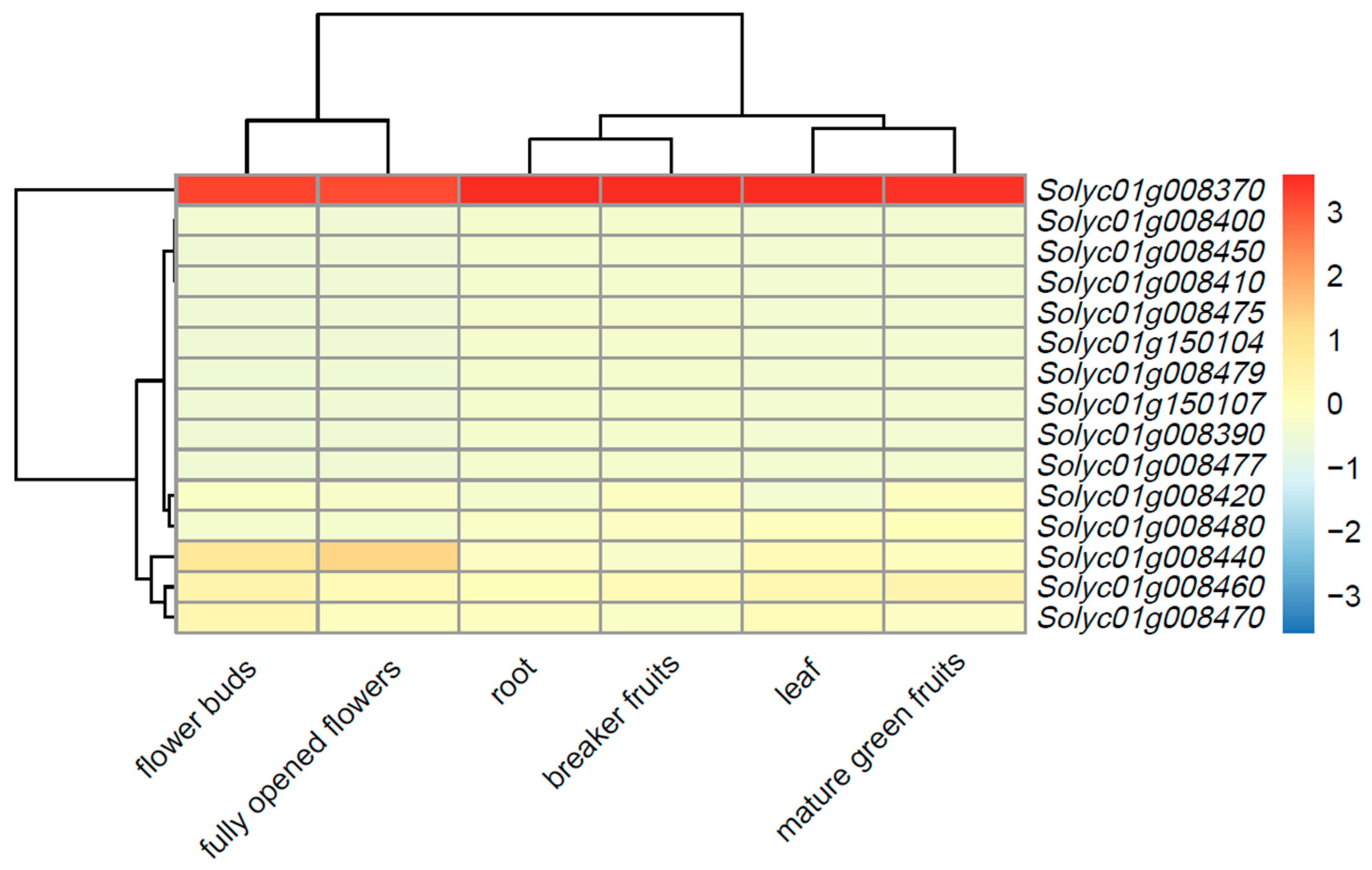 Agronomy 12 02985 g003 550