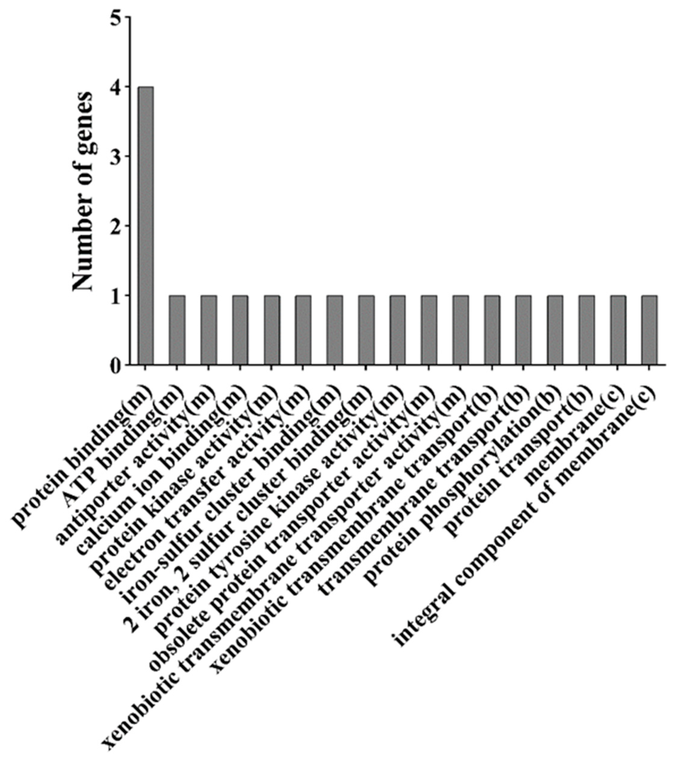 Agronomy 12 02985 g004 550