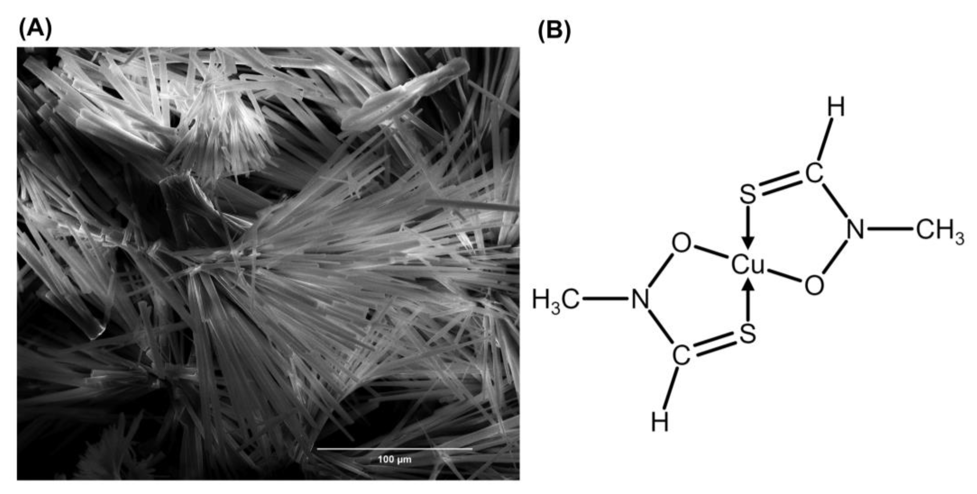 Agronomy 12 02997 g002