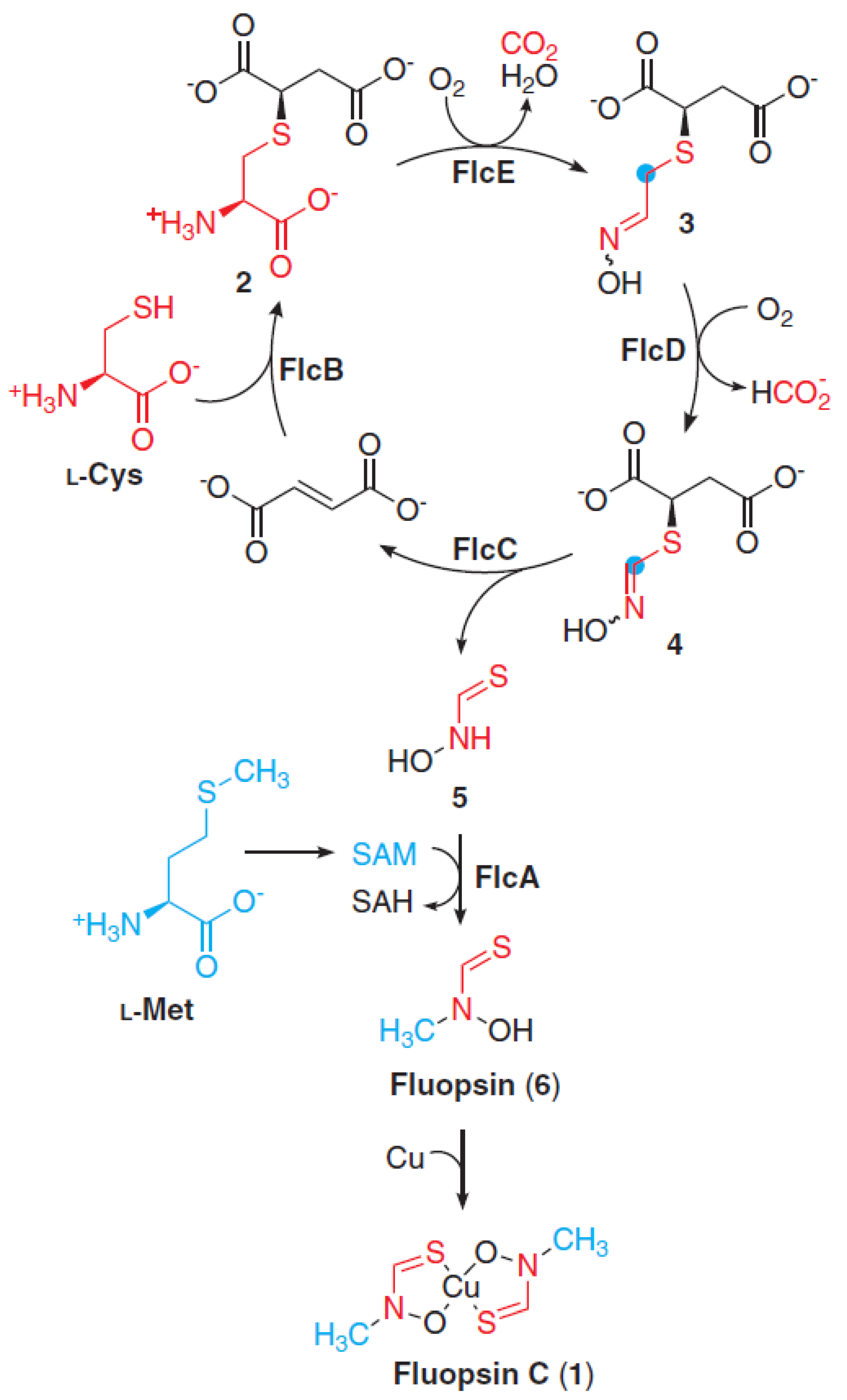 Agronomy 12 02997 g003