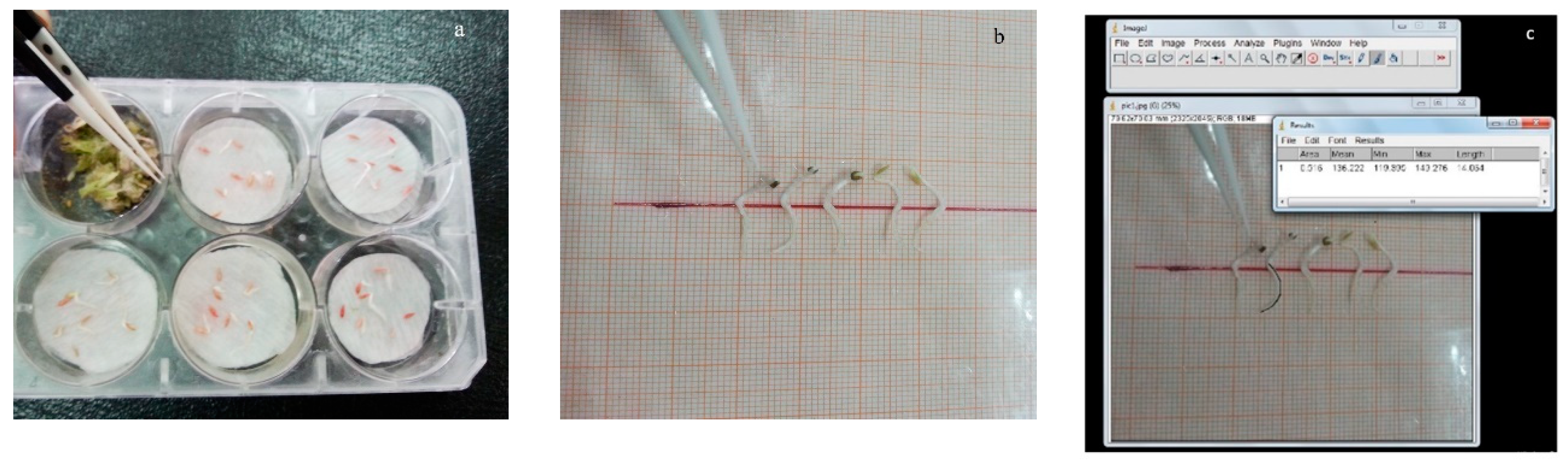 Agronomy 12 03001 g002