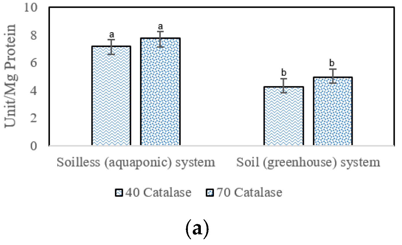Agronomy 12 03007 g005a