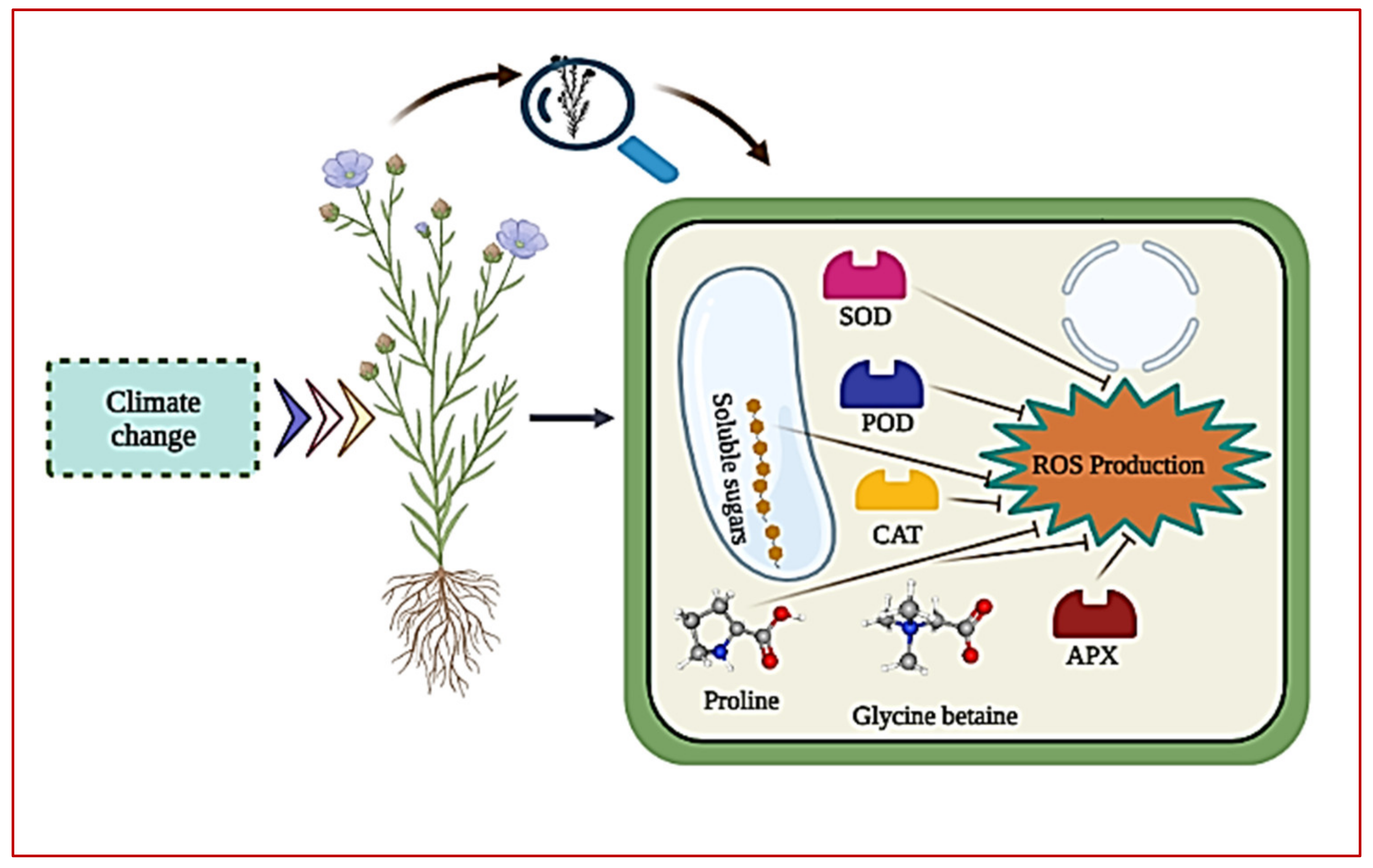Agronomy 12 03008 g002