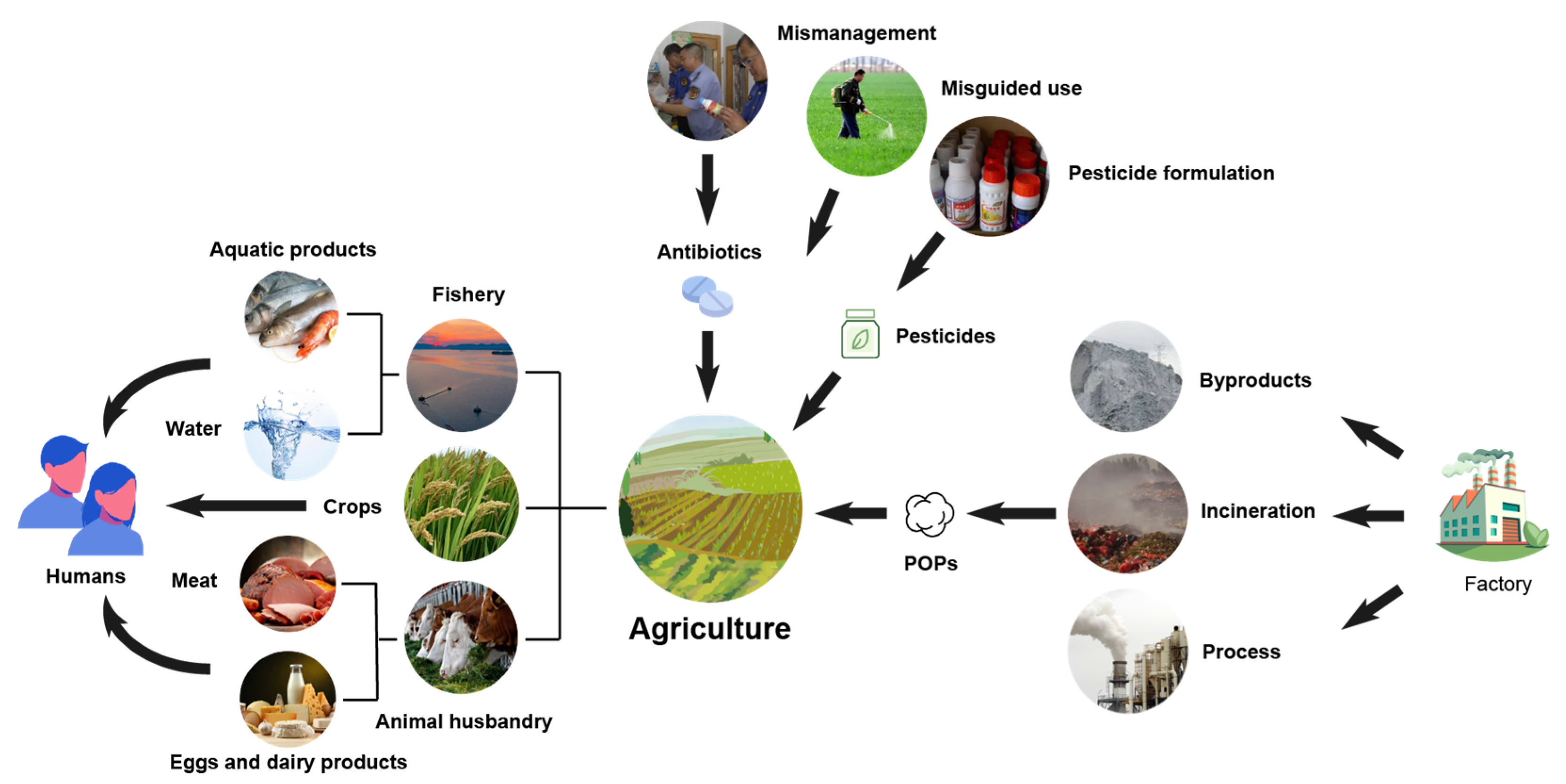 Agronomy 12 03009 g002