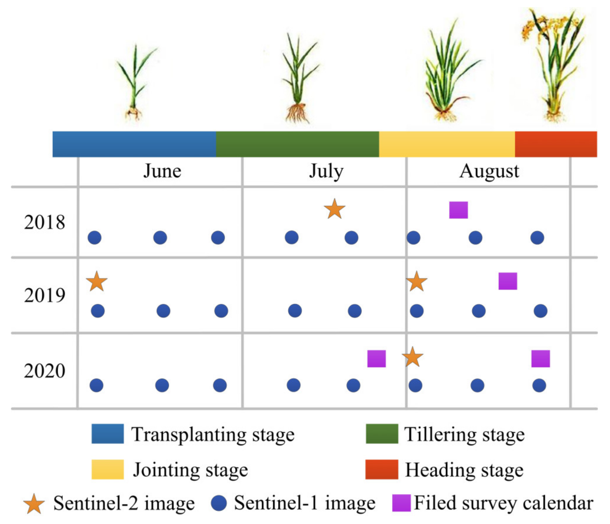 Agronomy 12 03010 g003