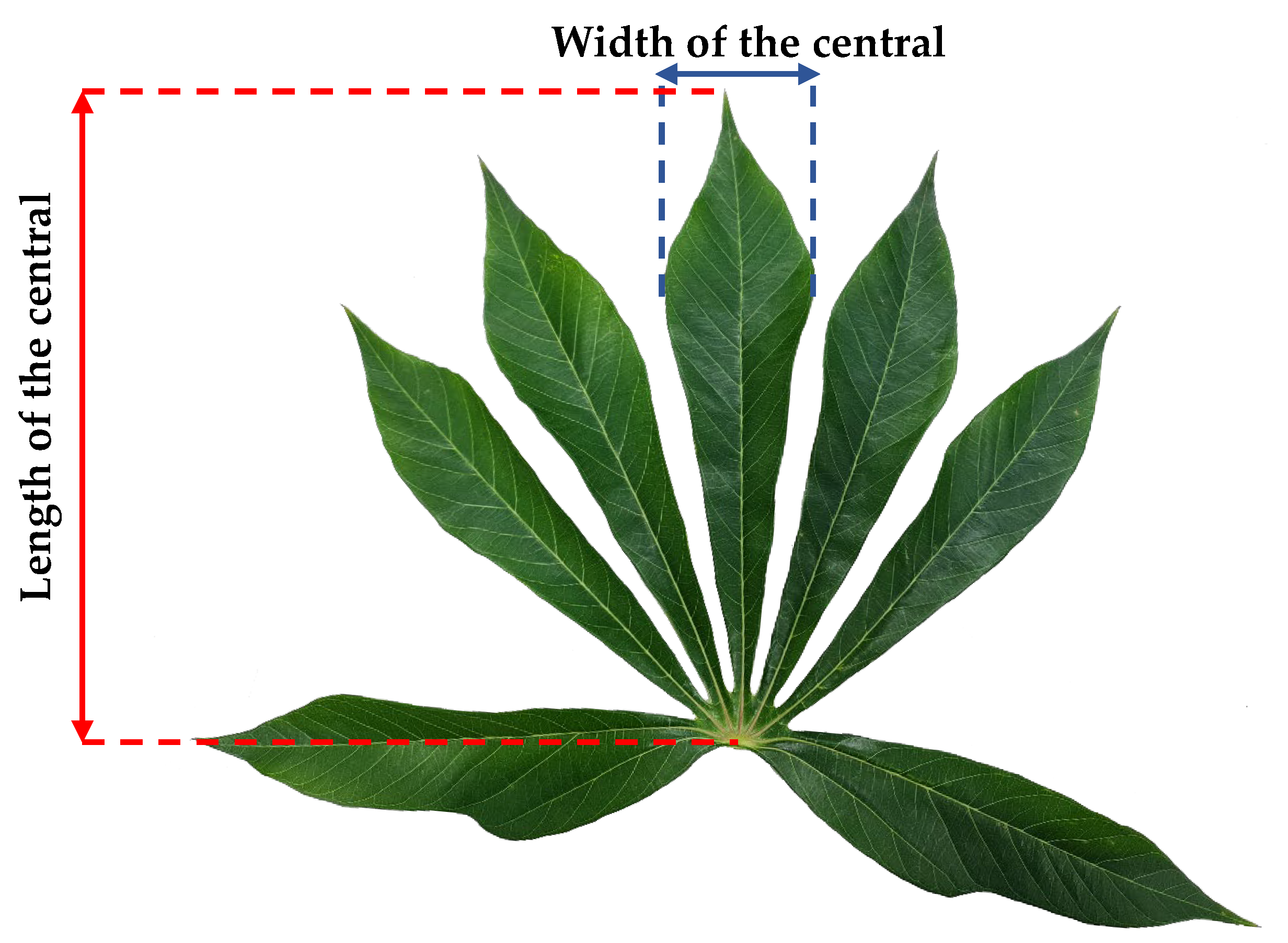 Agronomy 12 03013 g001