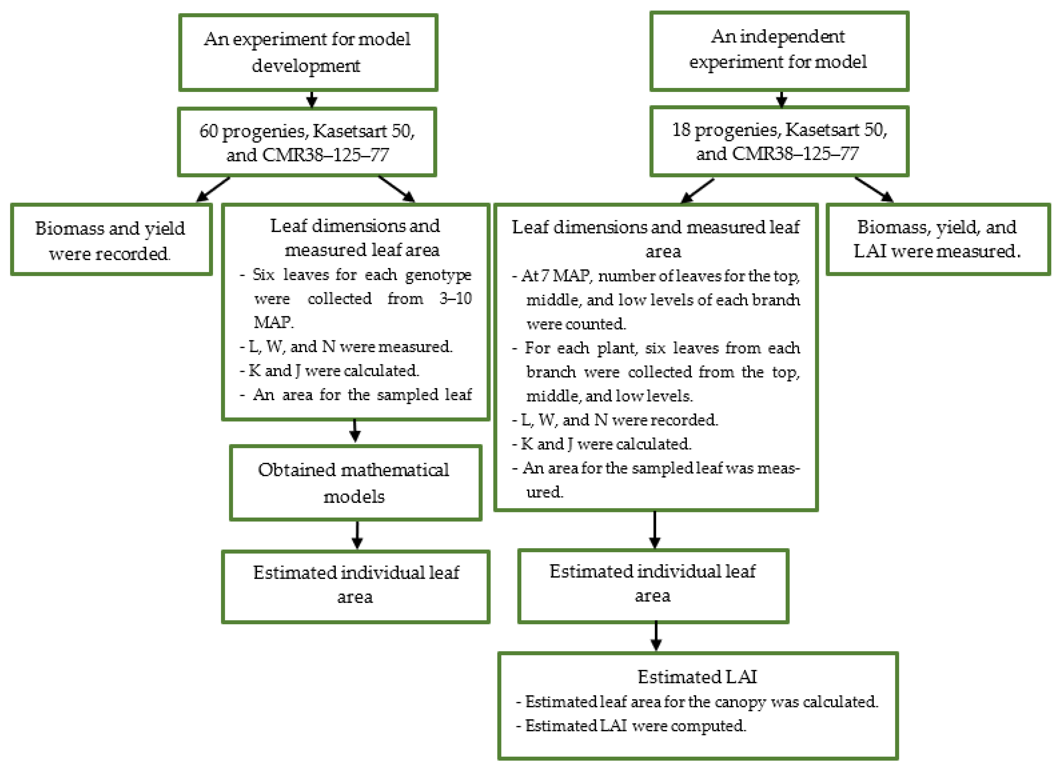 Agronomy 12 03013 g002