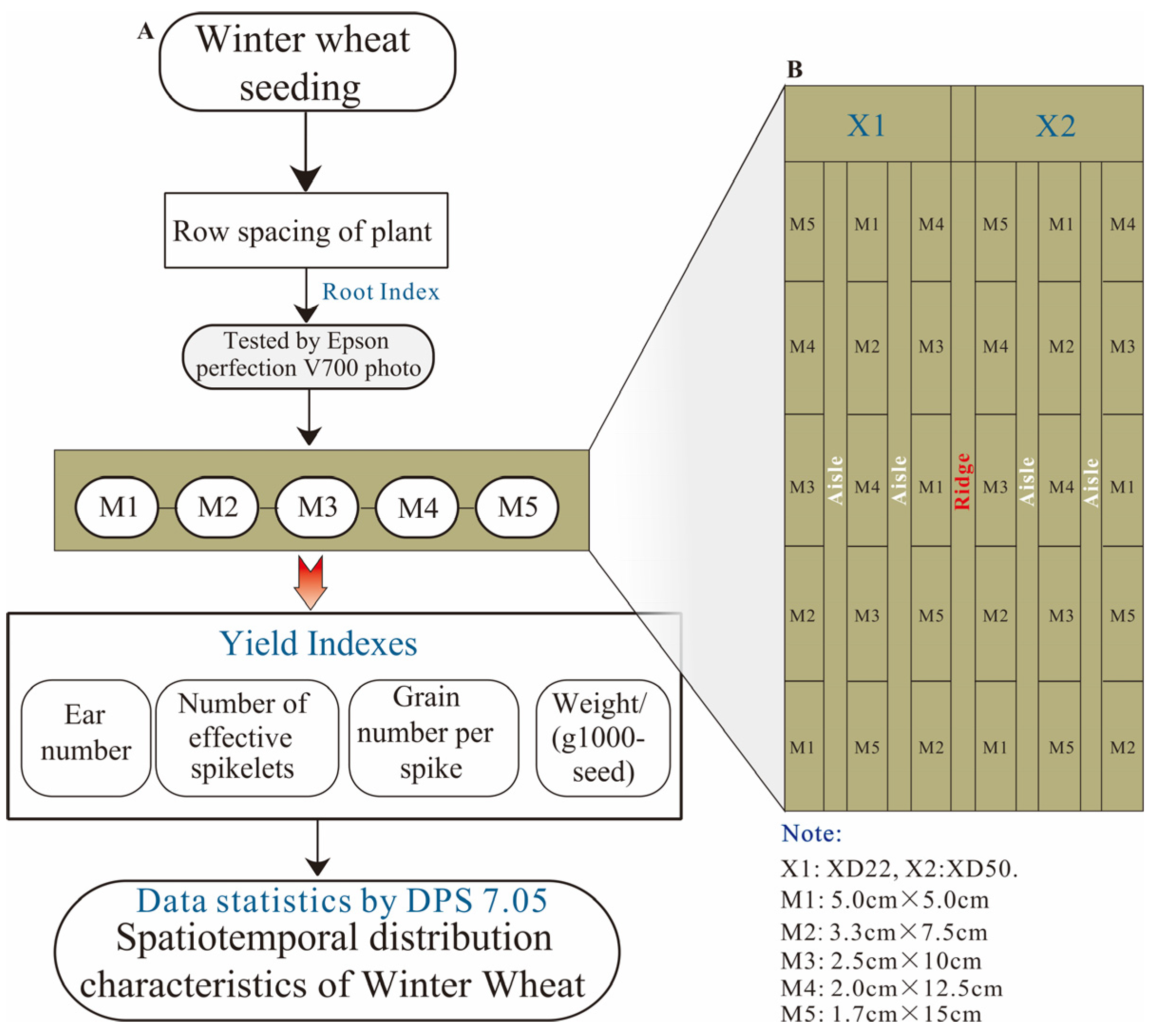 Agronomy 12 03014 g002 Agronomy 12 03014 g002