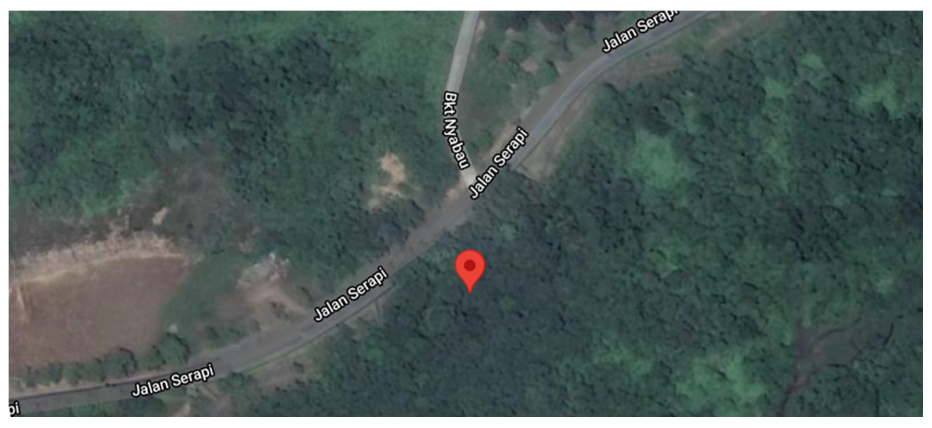 Agronomy 12 03020 g001