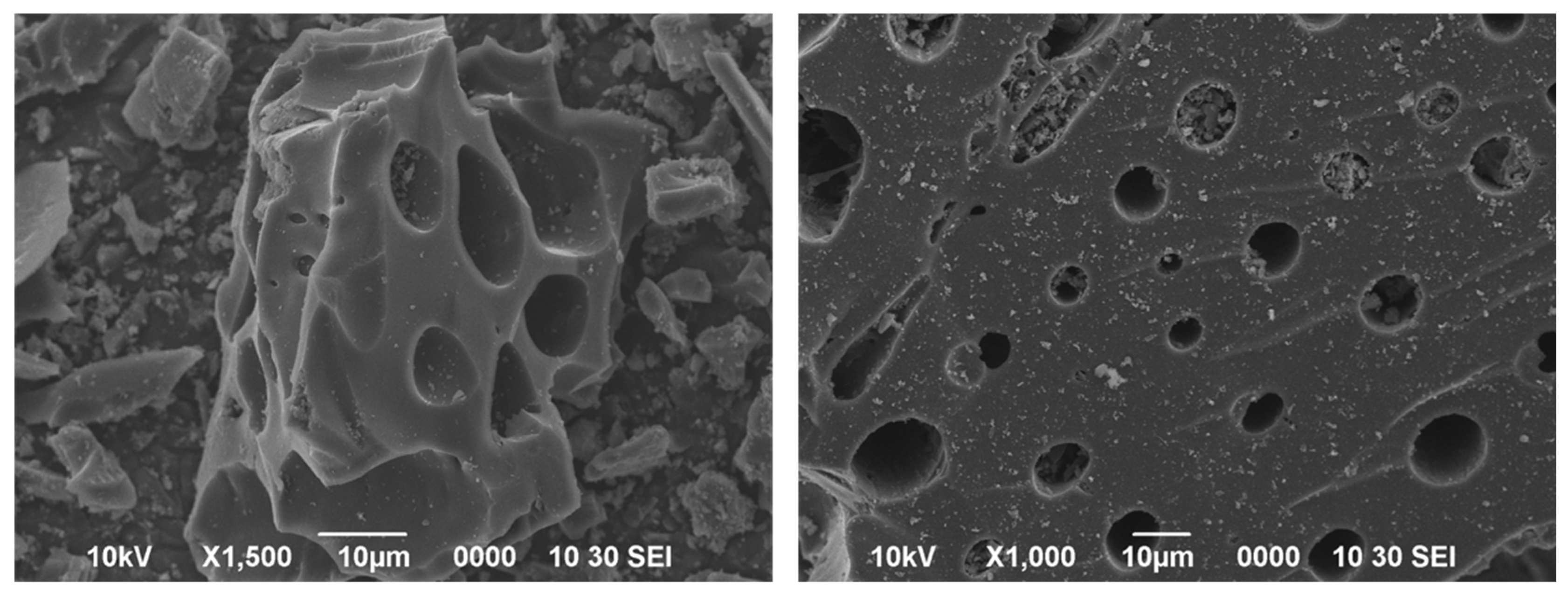 Agronomy 12 03020 g003