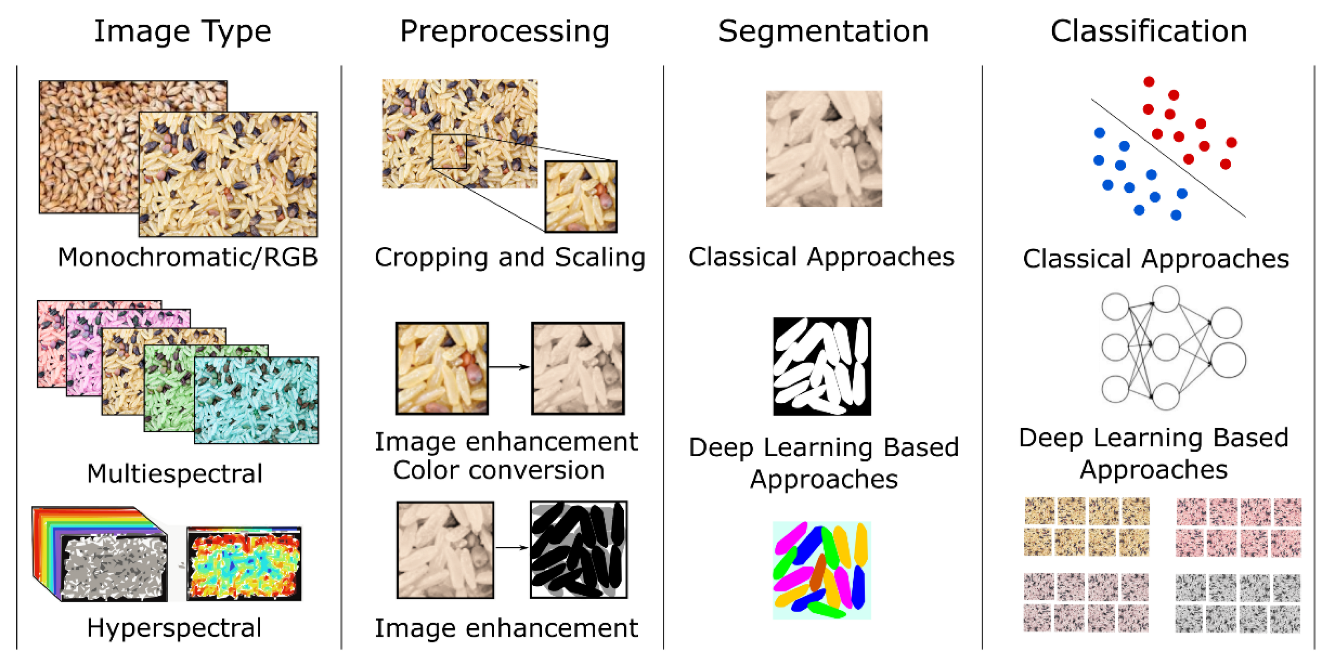 Agronomy 12 03021 g001 Agronomy 12 03021 g001