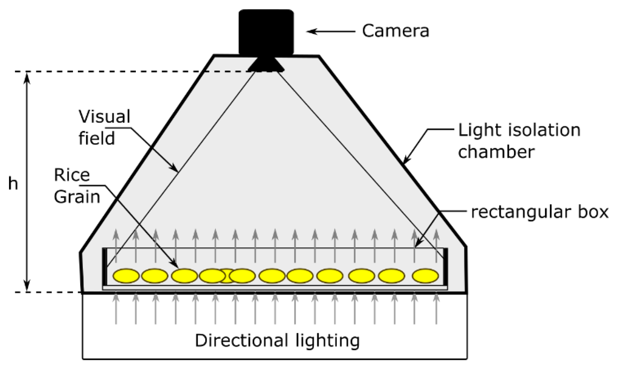 Agronomy 12 03021 g003 Agronomy 12 03021 g003