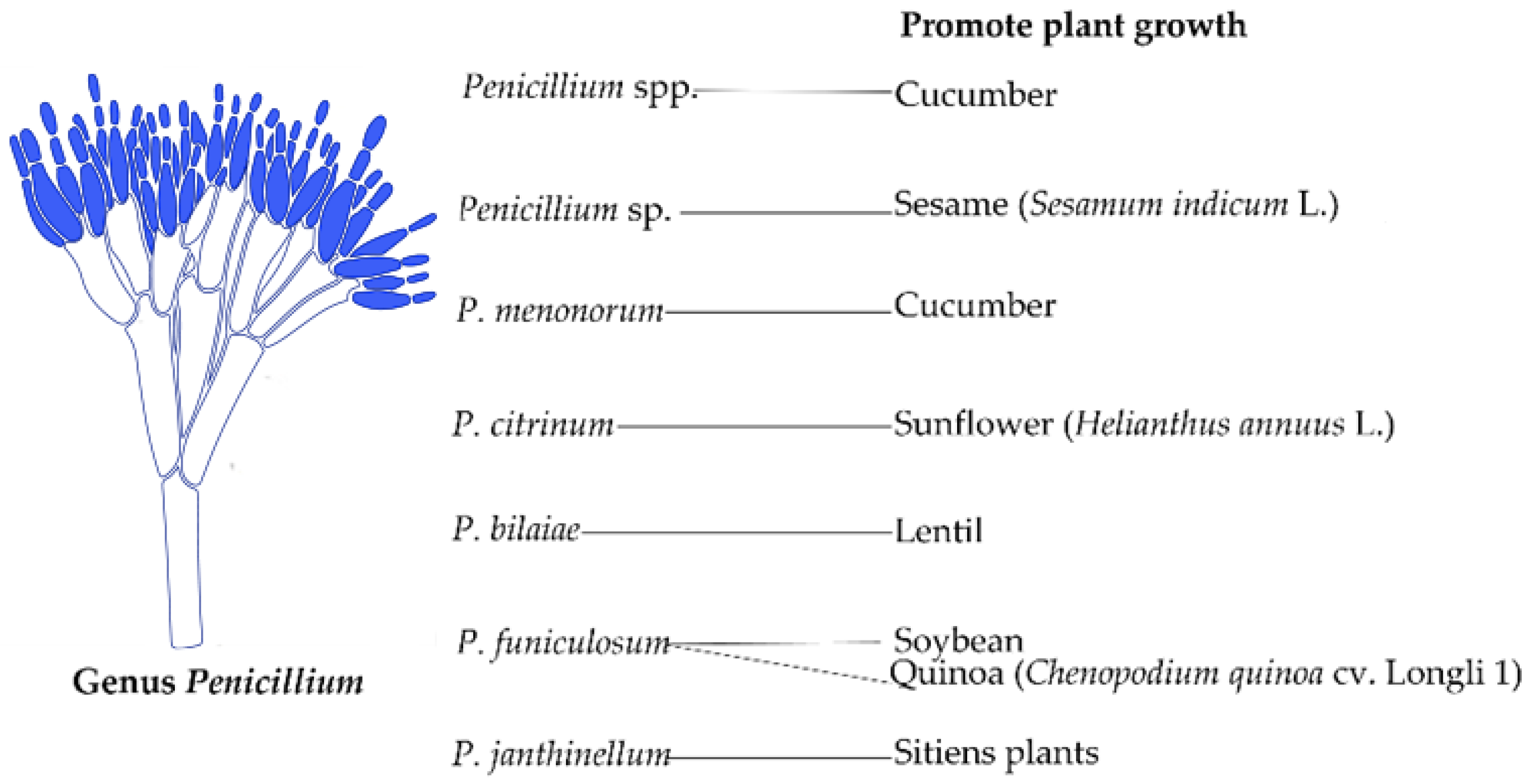 Agronomy 12 03033 g002