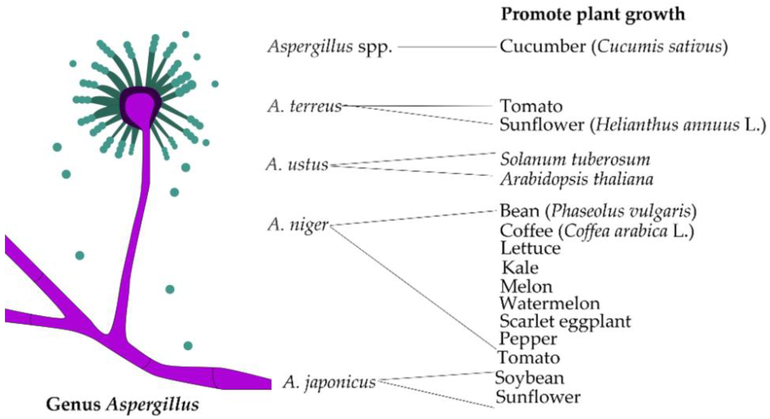 Agronomy 12 03033 g003