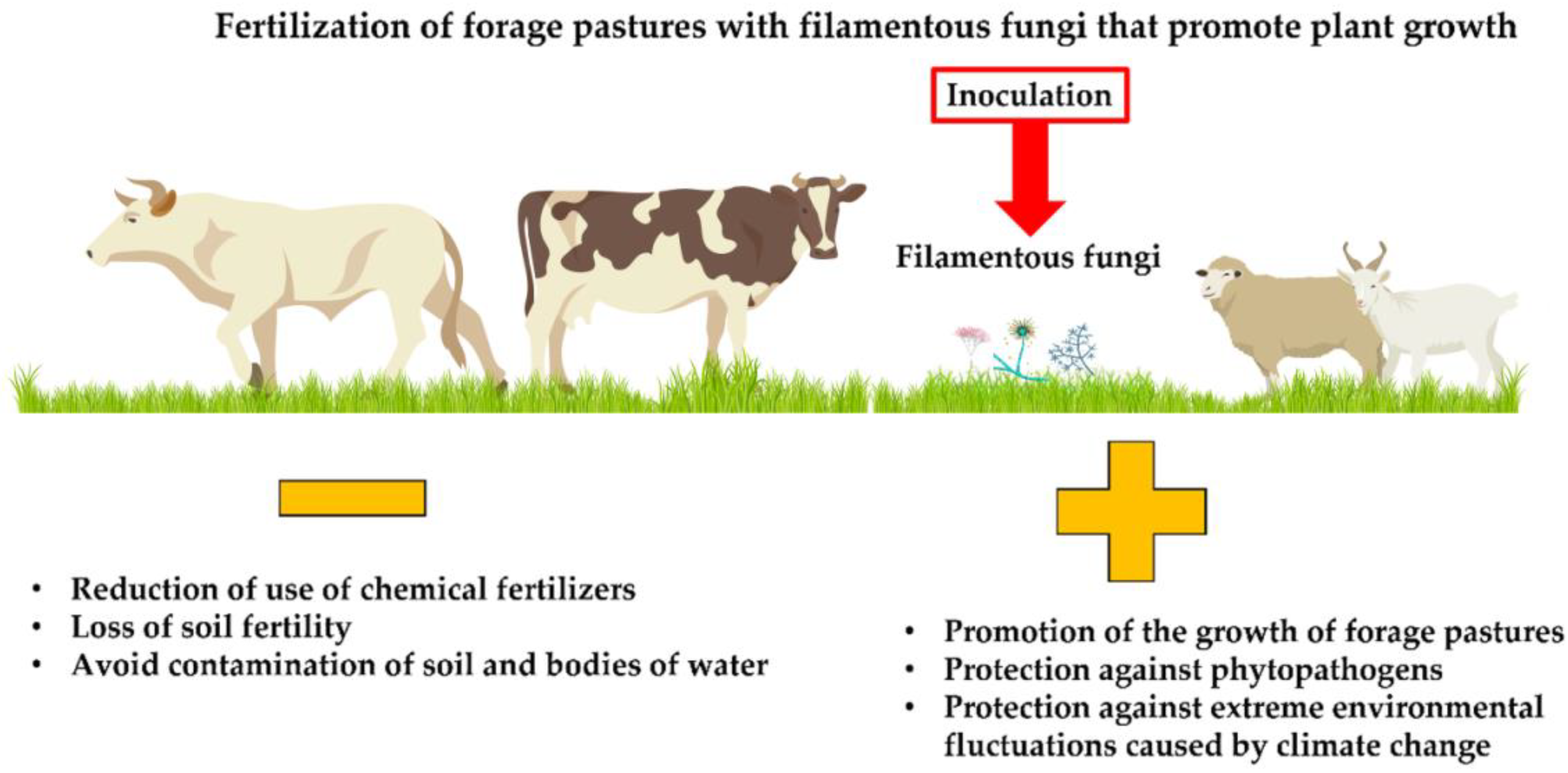 Agronomy | Free Full-Text | Plant Growth Promoting Filamentous Fungi and  Their Application in the Fertilization of Pastures for Animal Consumption