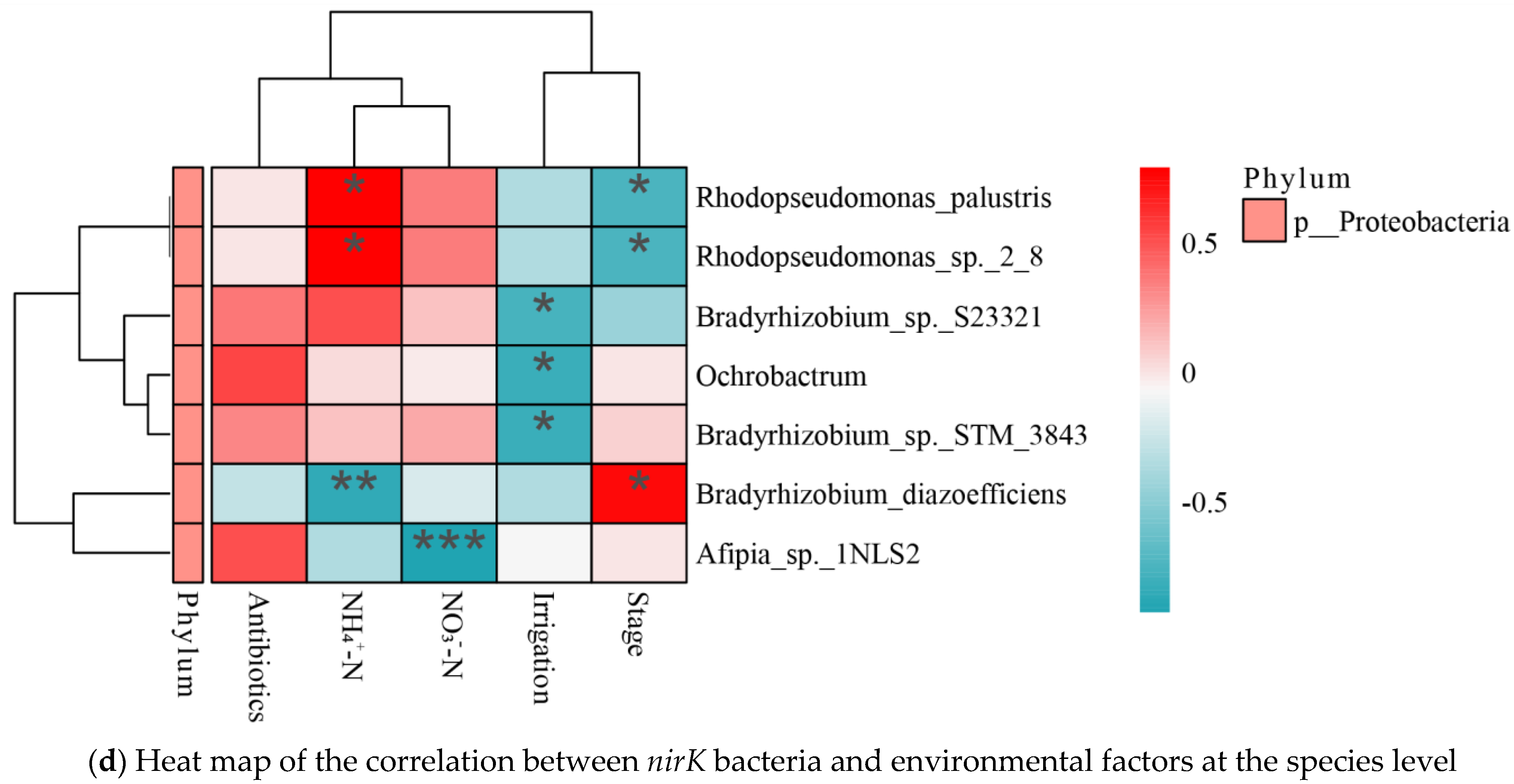 Agronomy 12 03034 g005b