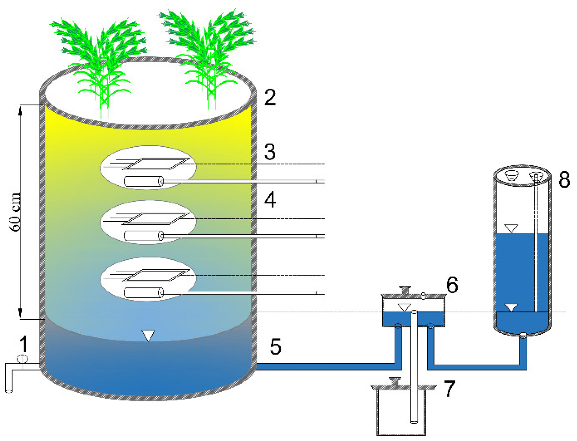 Agronomy 12 03048 g002