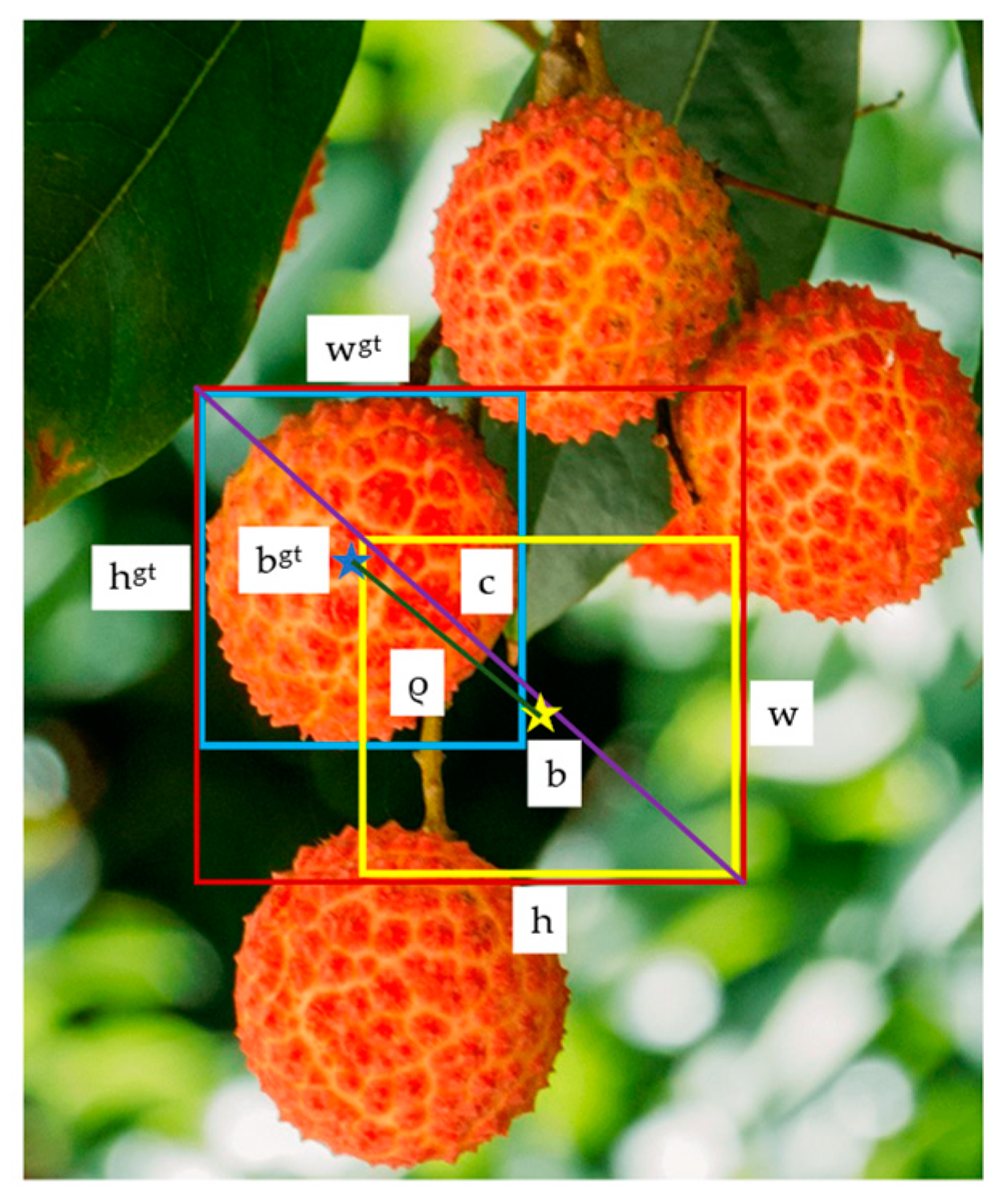 Agronomy 12 03054 g006 Agronomy 12 03054 g006