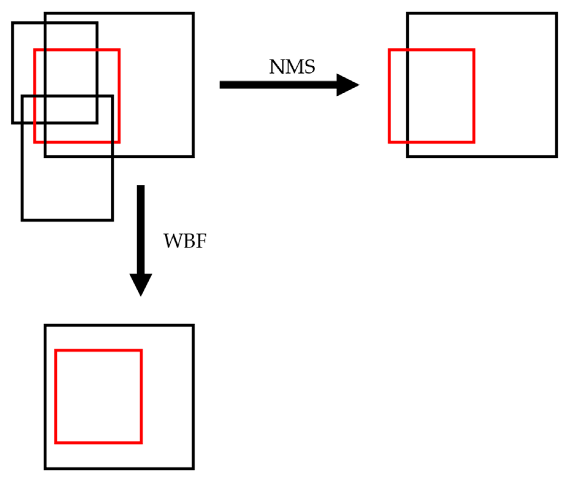 Agronomy 12 03054 g007 Agronomy 12 03054 g007