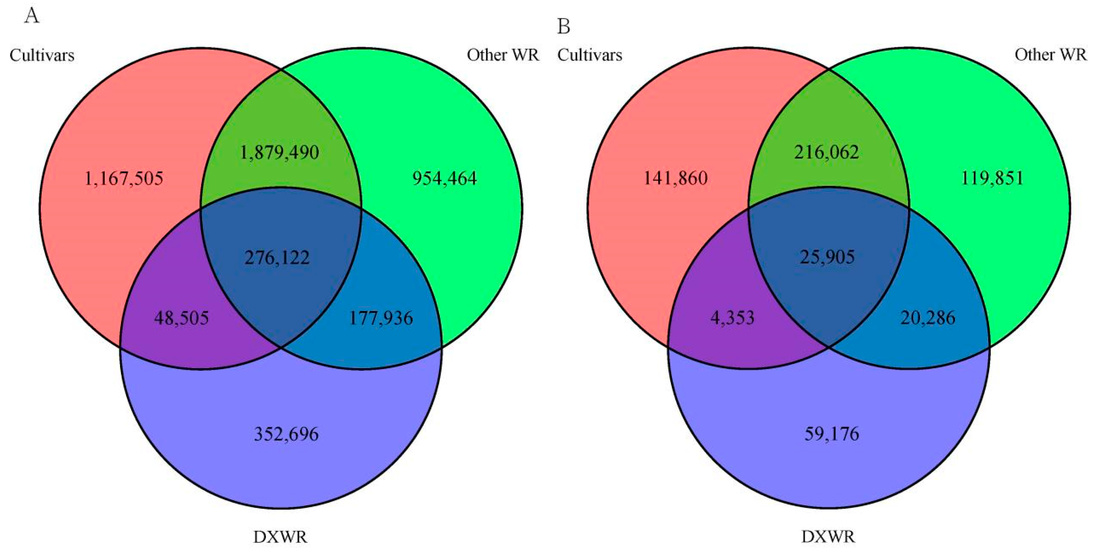 Agronomy 12 03056 g002