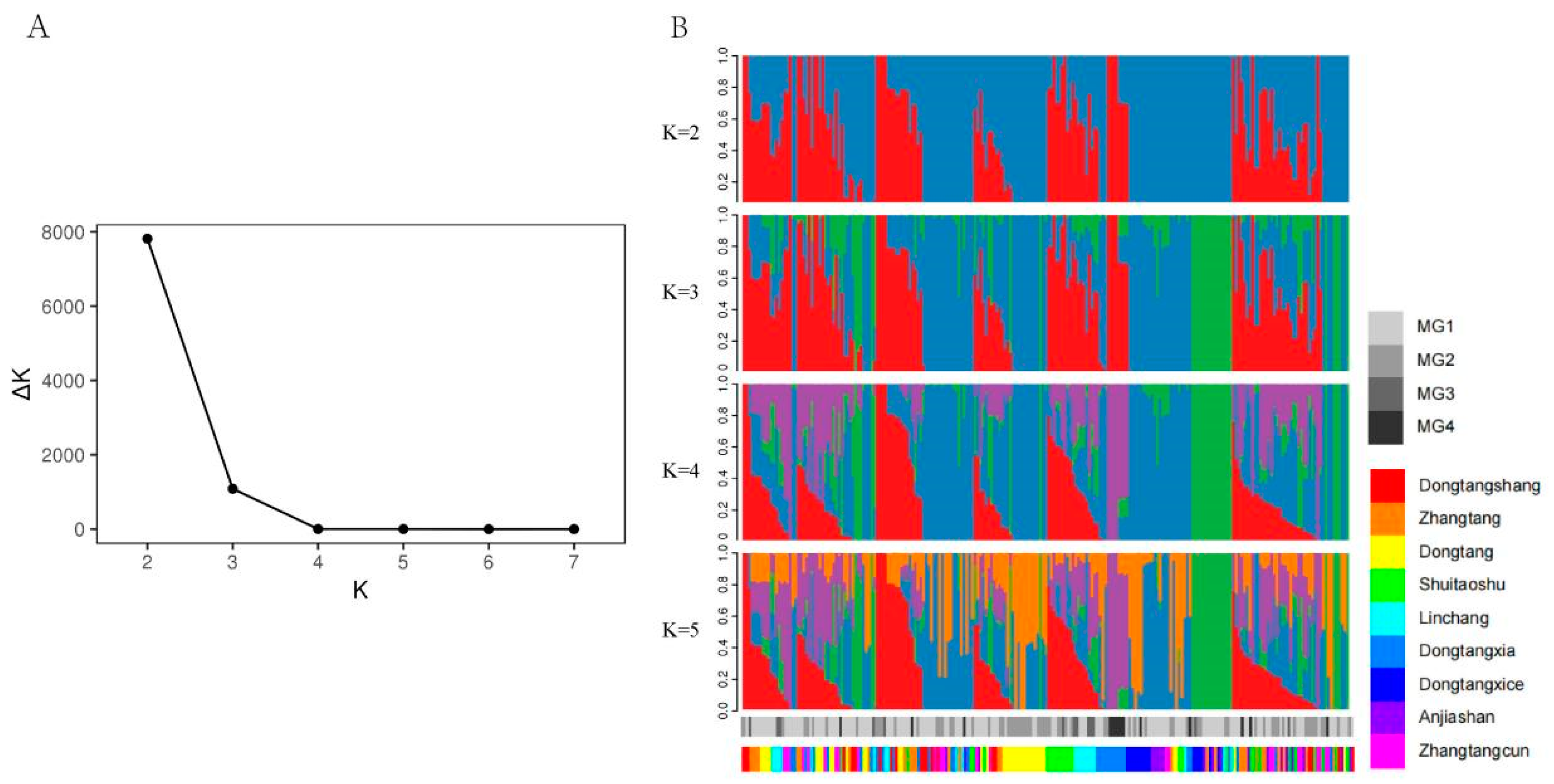 Agronomy 12 03056 g005
