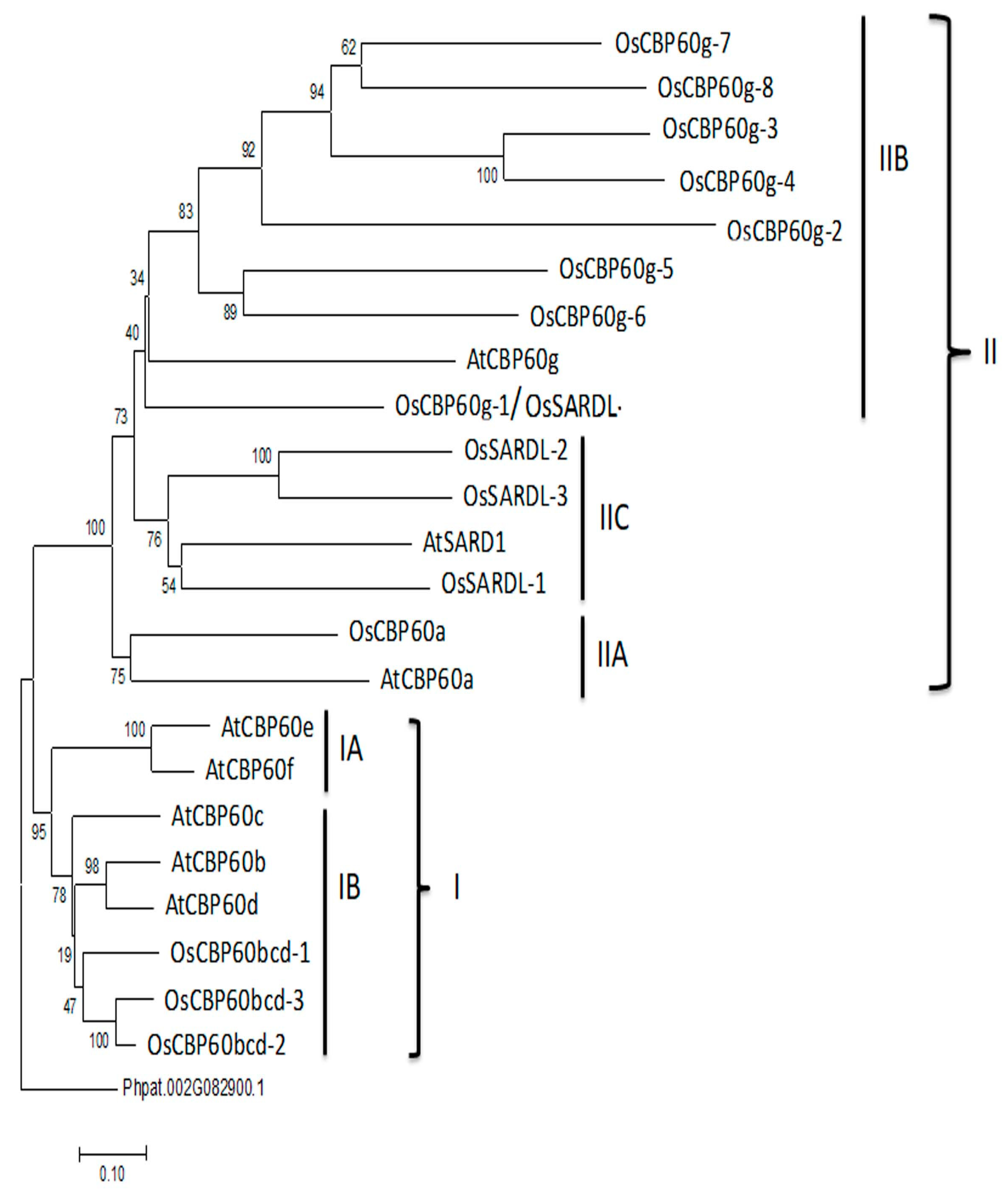 Agronomy 12 03060 g001 Agronomy 12 03060 g001